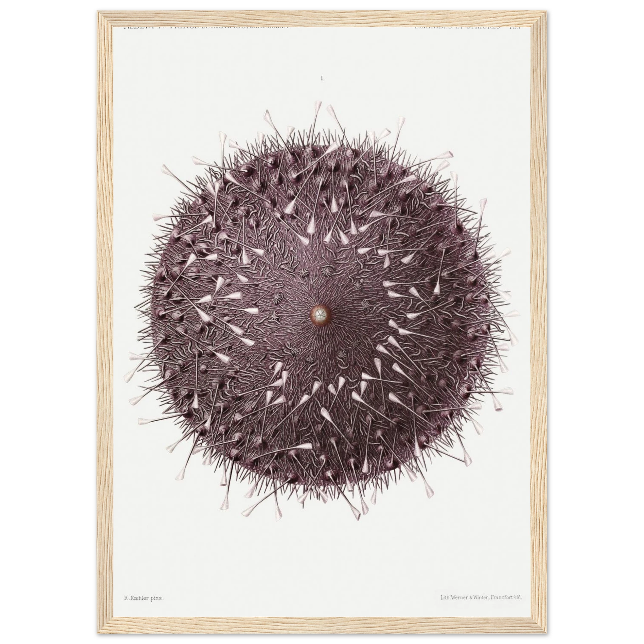 565db465-07af-44f6-8c9a-e8ab792e2d64