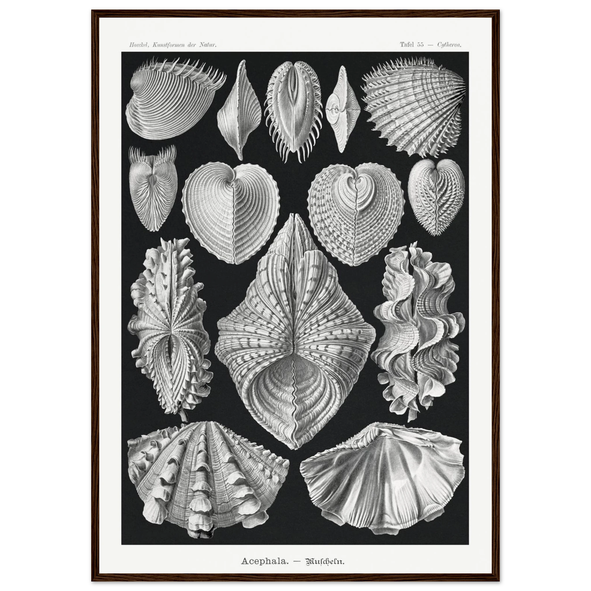 5694353e-7dbf-4d3b-b9e9-64f8b821c7dc