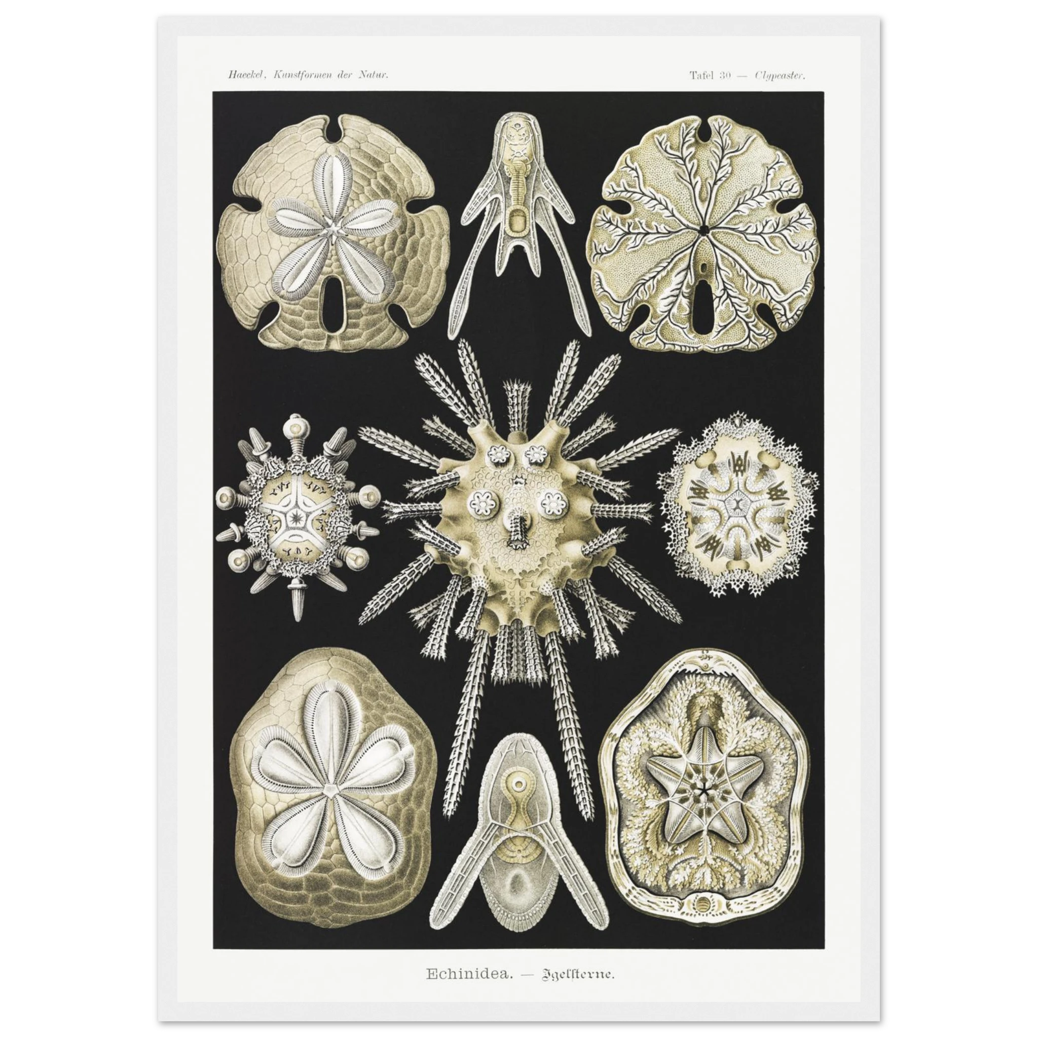 56a5054f-4896-48ee-8549-d206dacecf9d