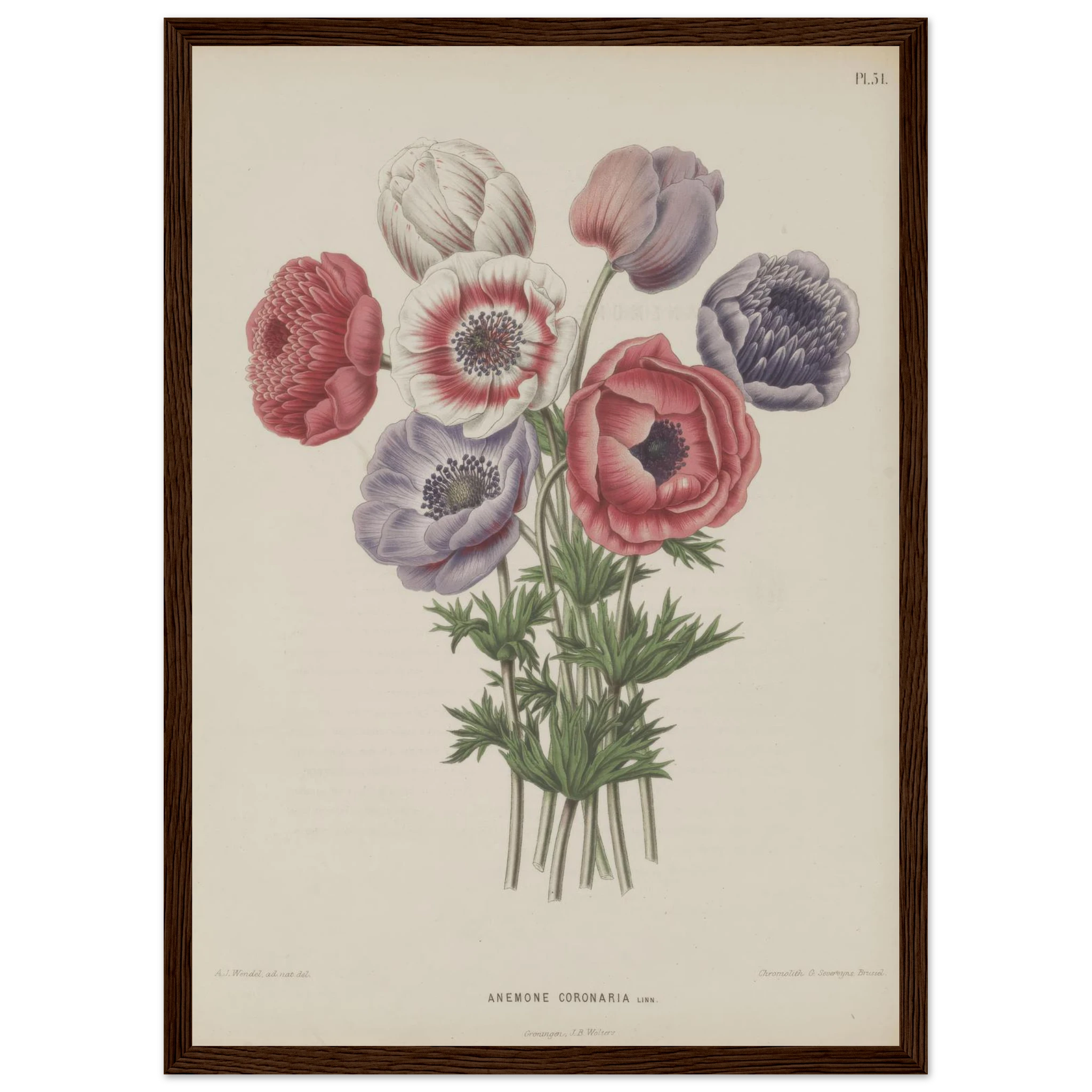 56cc2d1b-0741-4d22-b5ec-6add7115b47d