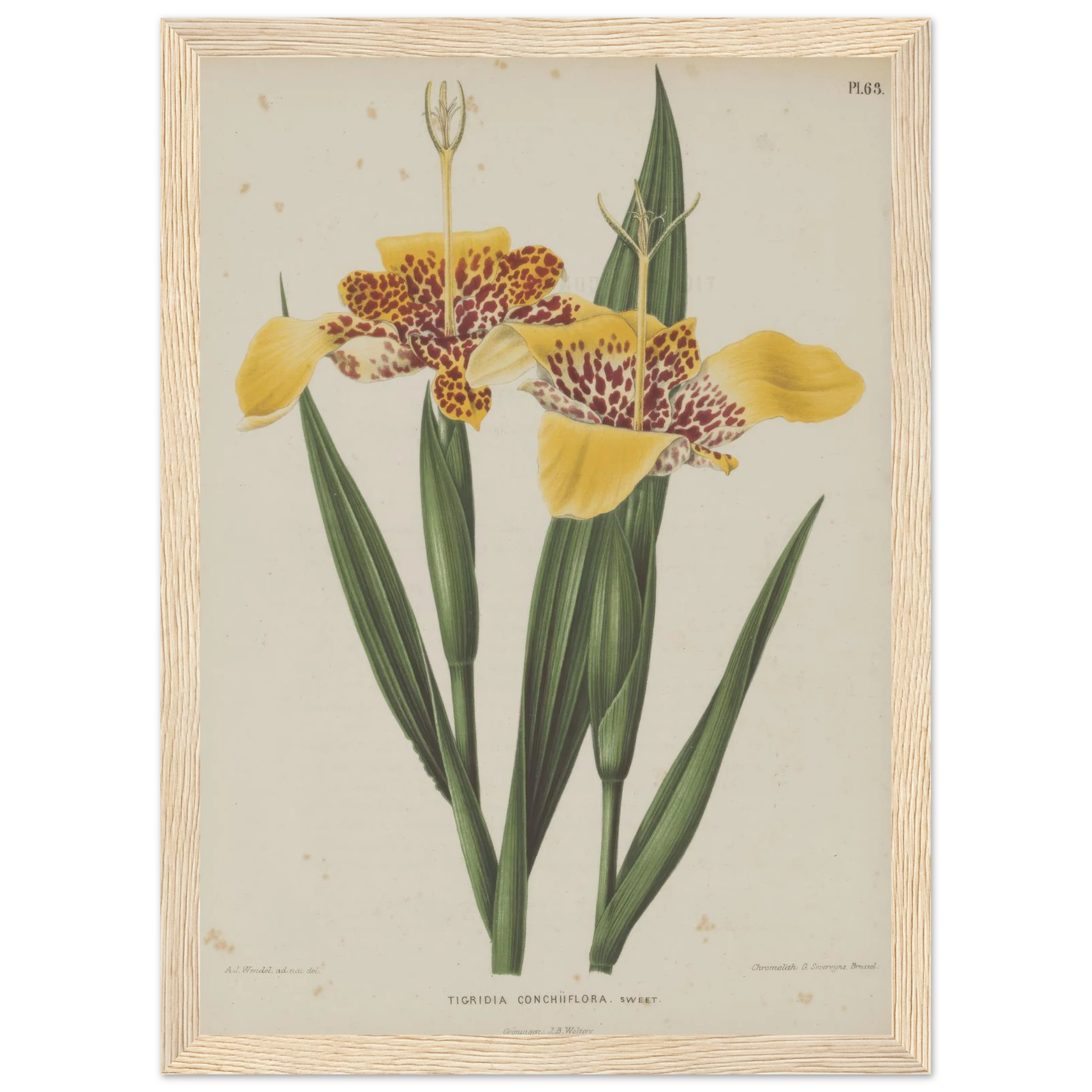 572d7973-d06f-4f17-9453-c64fecd4b6dc