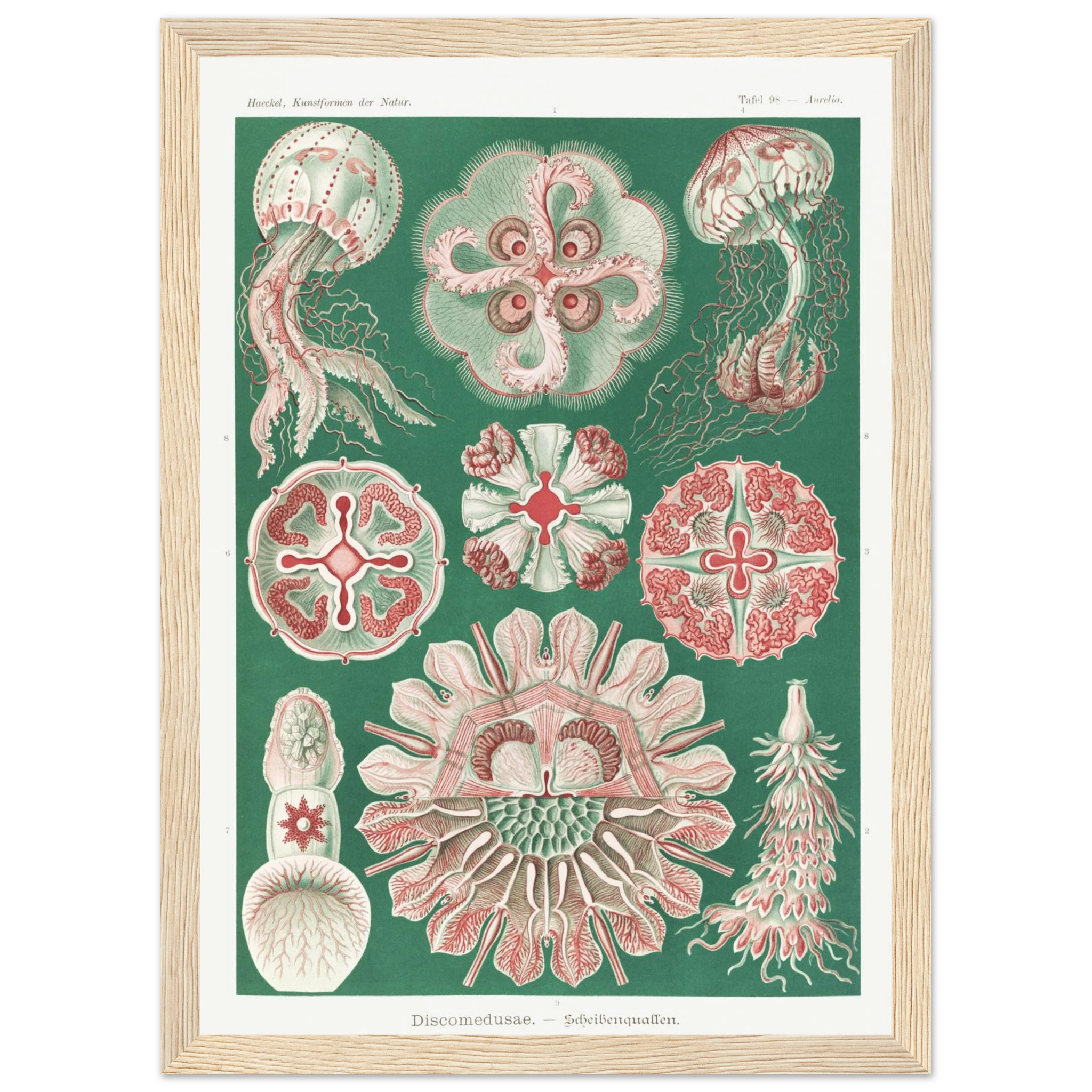 575933a0-d2e4-42d0-85a8-c8461949dbdf