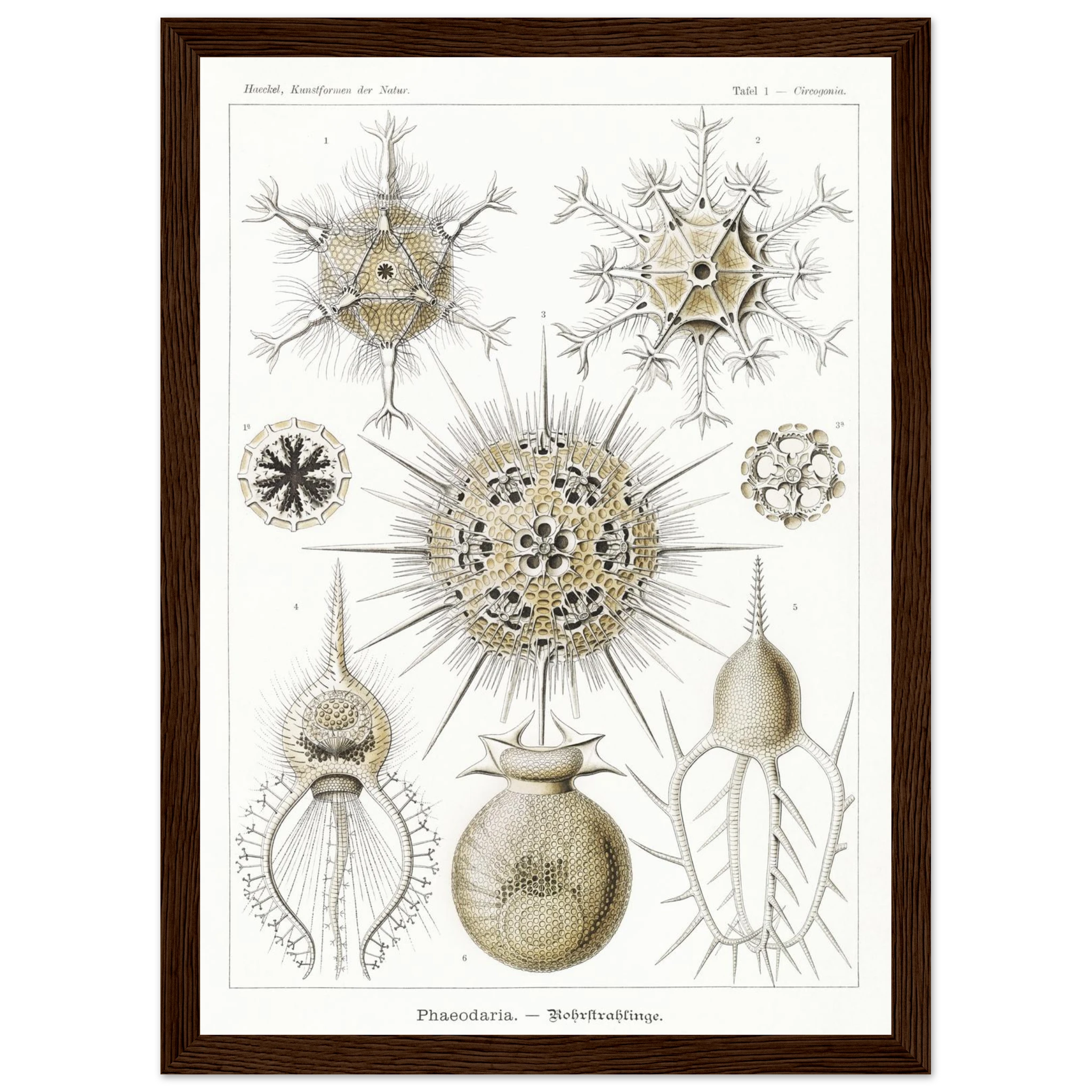 5768956b-4d98-4855-af23-124ccdde76c6