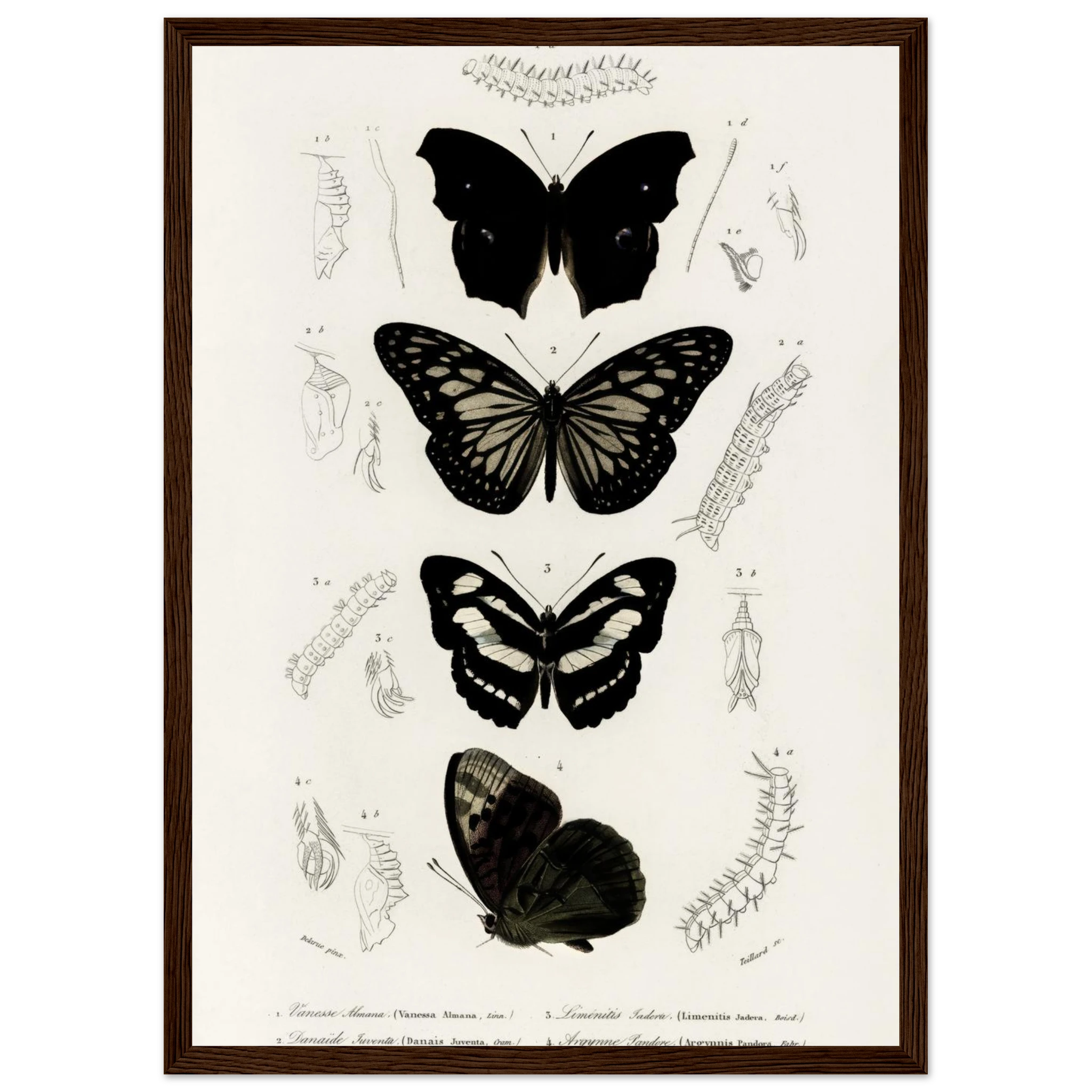 577397ba-b043-4ef3-8b25-b47239d18f6e