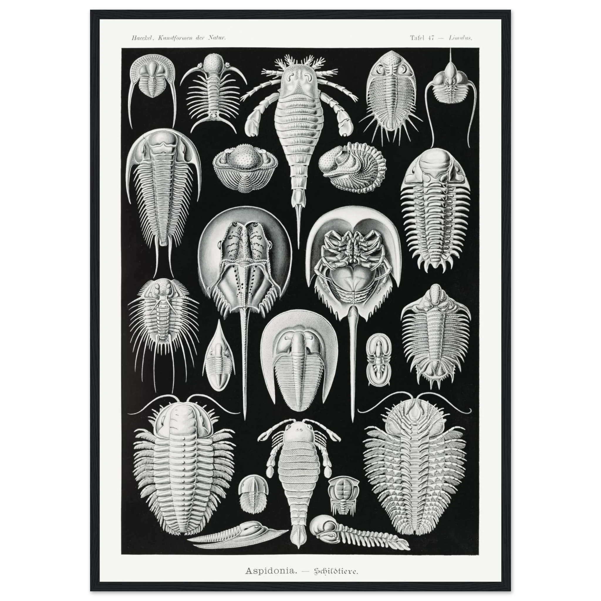 578de4ba-1ebb-4256-9120-0777cf5064e3