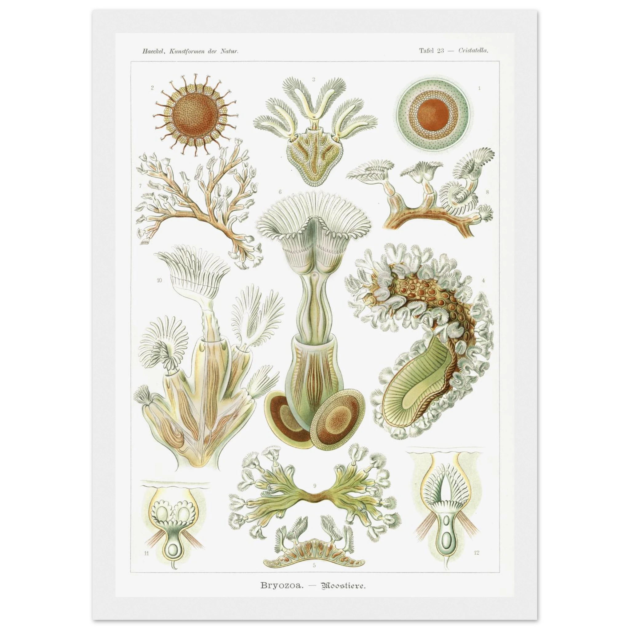 5793706b-6f36-4163-bbfa-777ba7b7b8fd