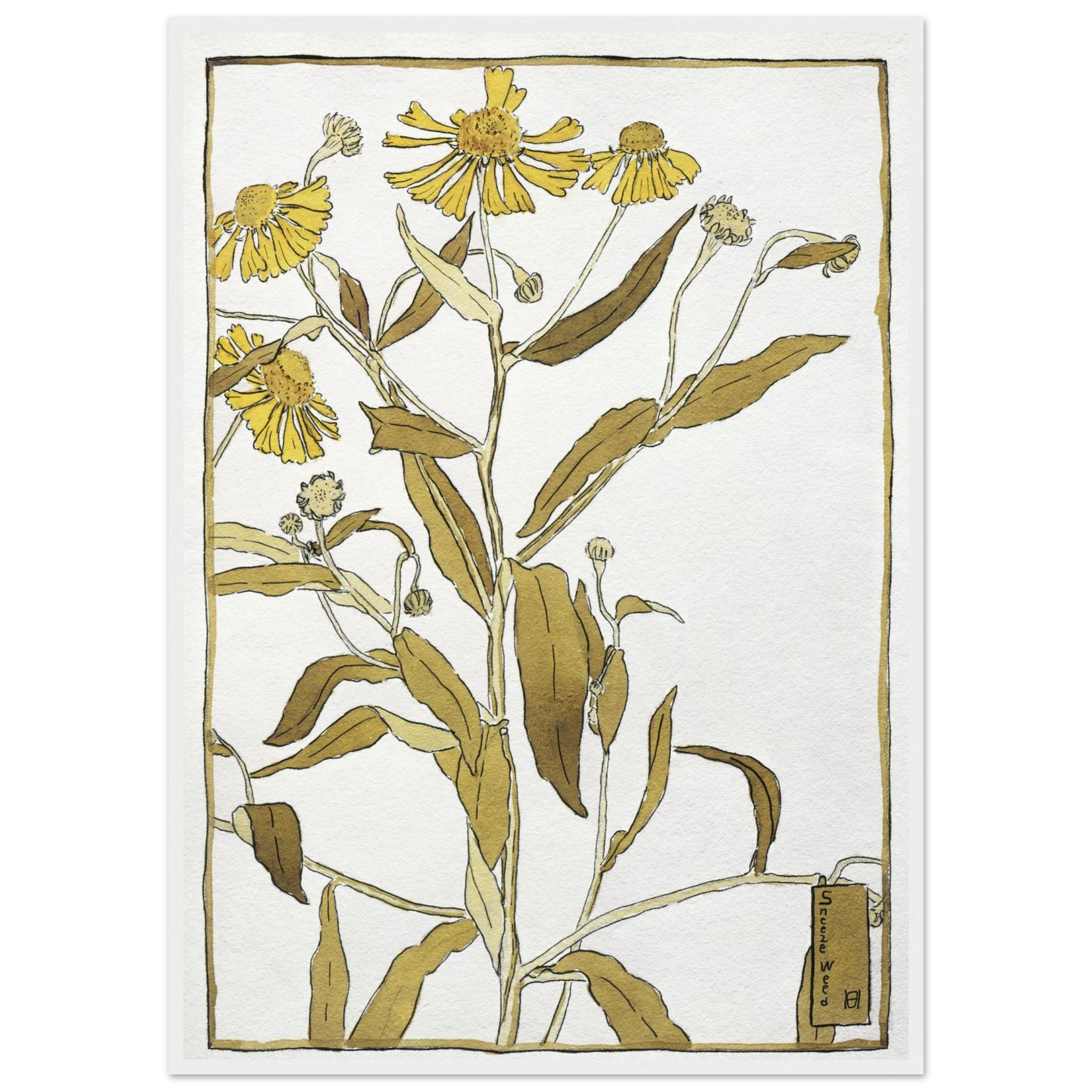 57d106c1-b7a0-4af2-aaf4-dfb79526b9b6