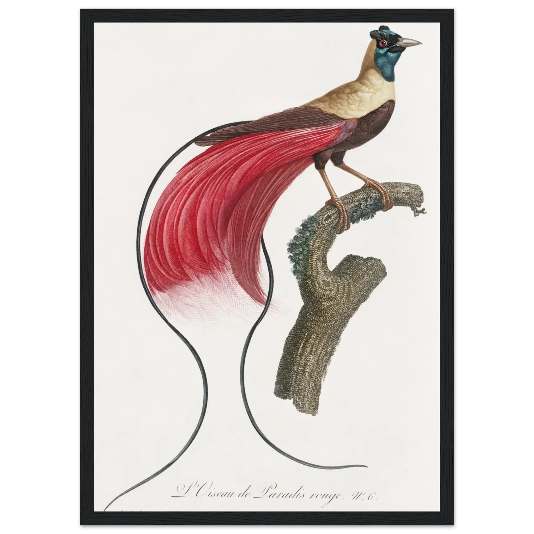 57e317bd-8b3f-4460-bb29-dea64901c566