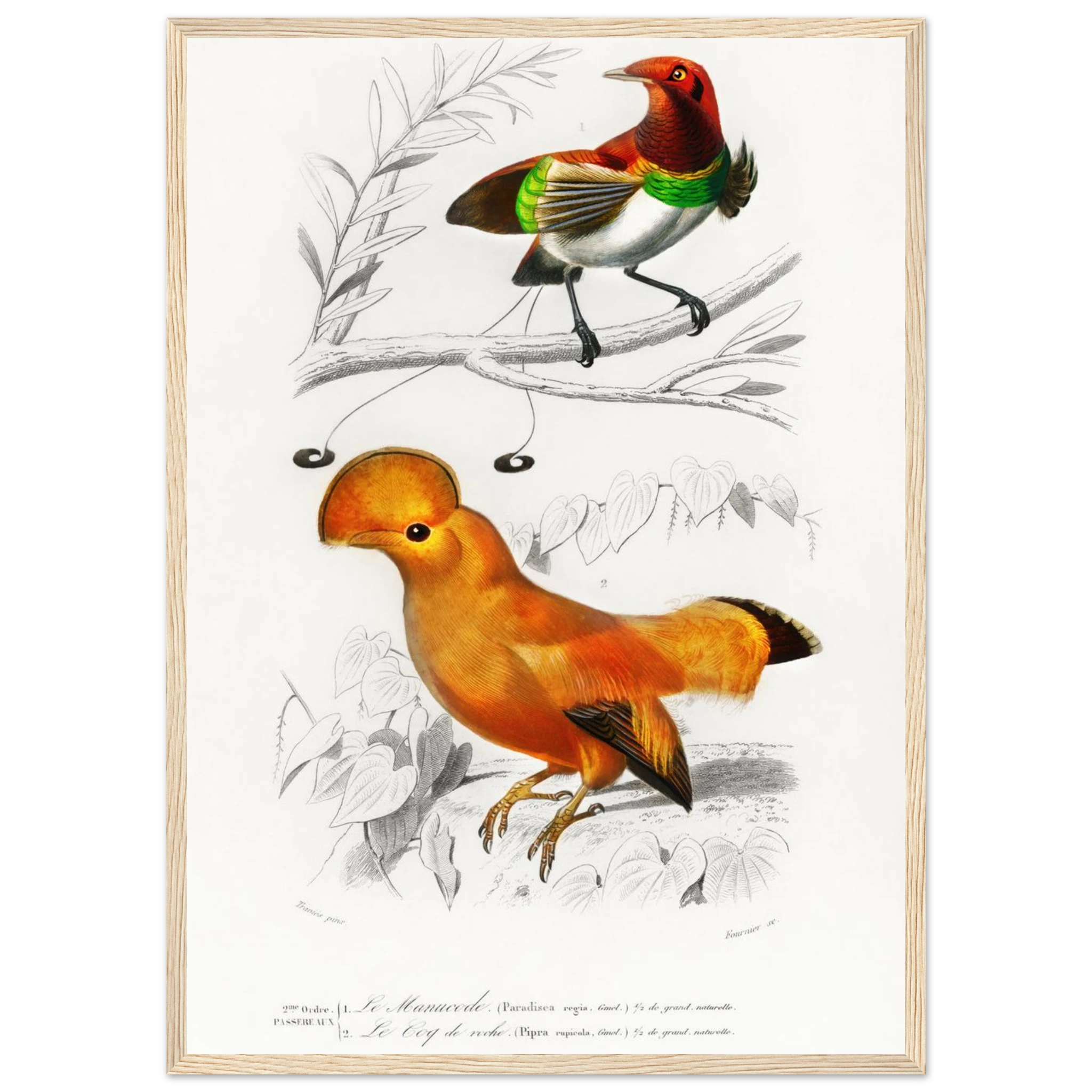 58199ca2-74f0-4c01-b659-8132f11feddb