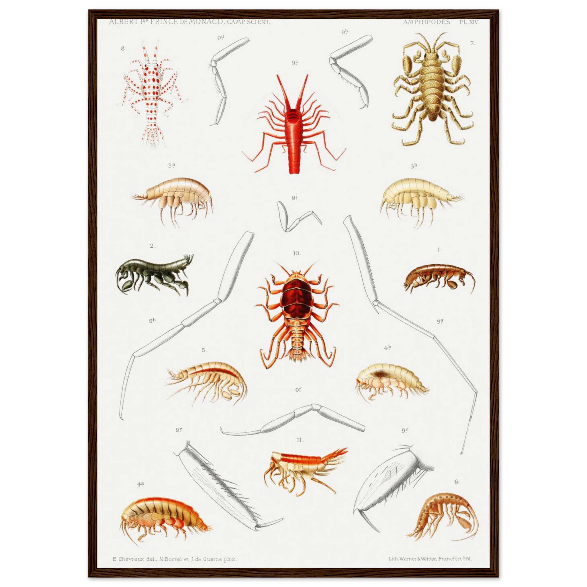 5852b4f4-d937-4f86-b76a-1db5117a5384