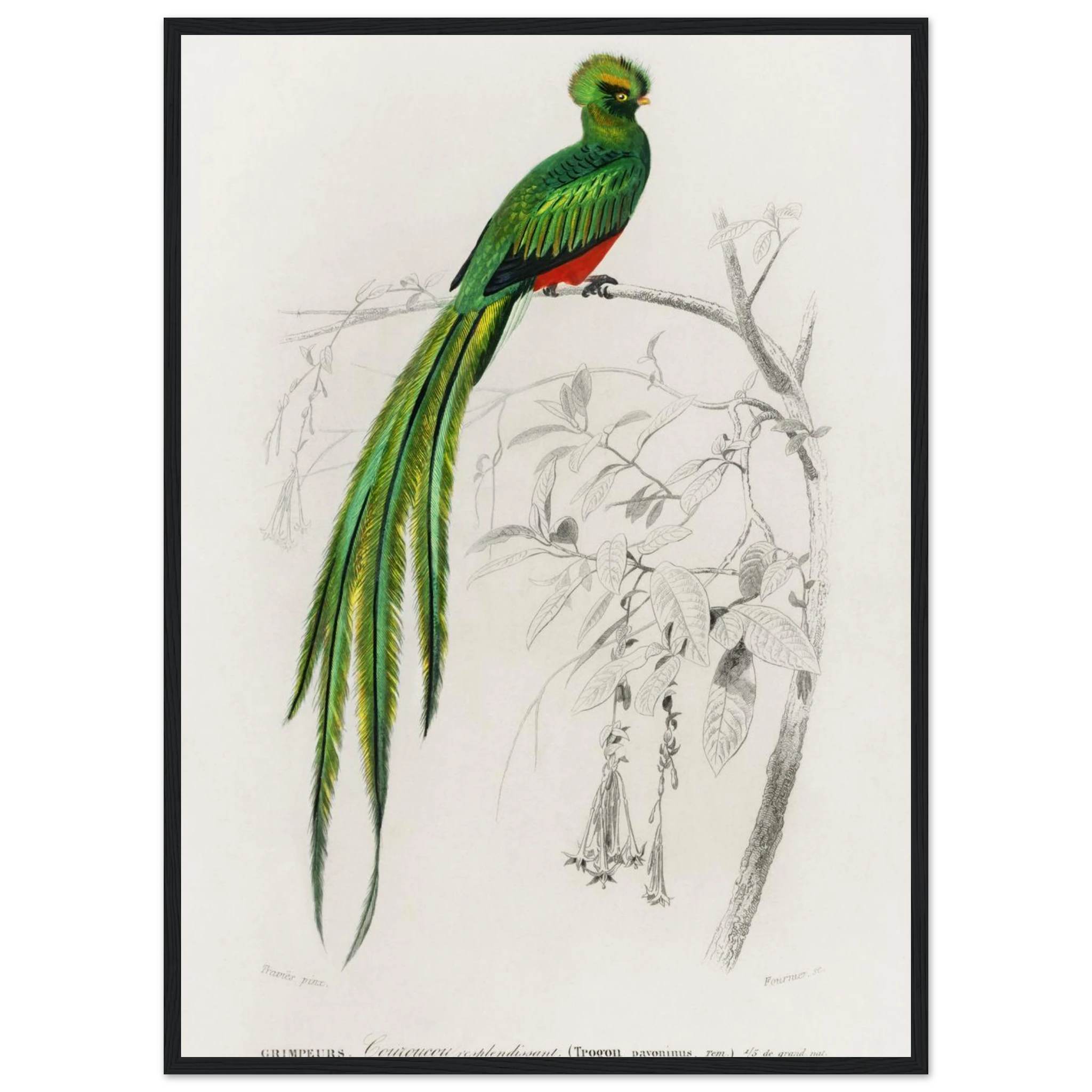 587c33f2-e6a7-457d-ba35-6f13ac7bfd4c