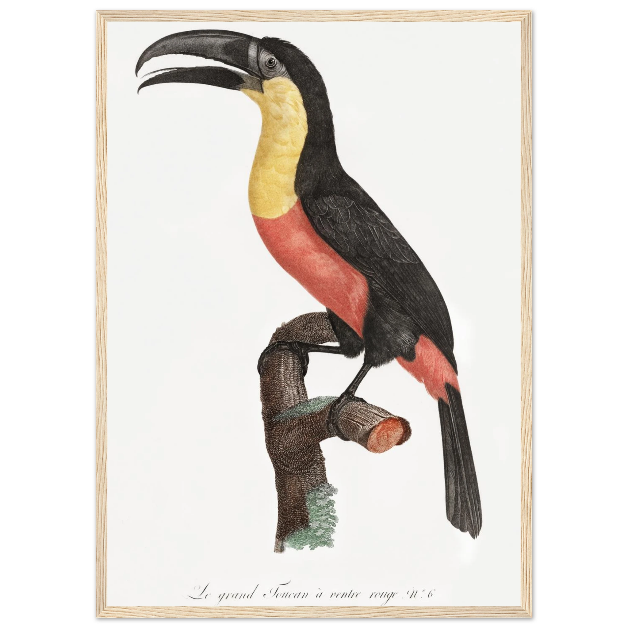 58a8a238-c0f3-4a16-8b88-d8945198510a