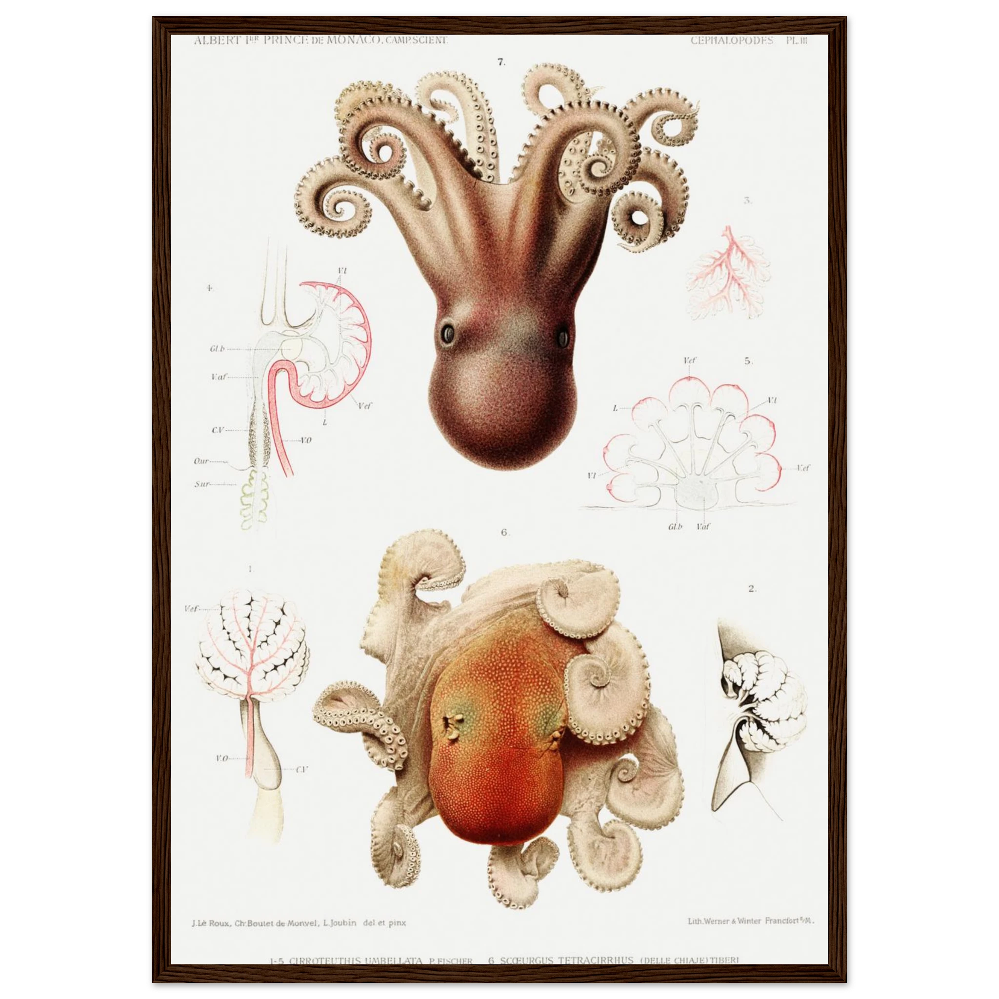 58aeff0b-1377-42fa-8b6a-39828297b4ac