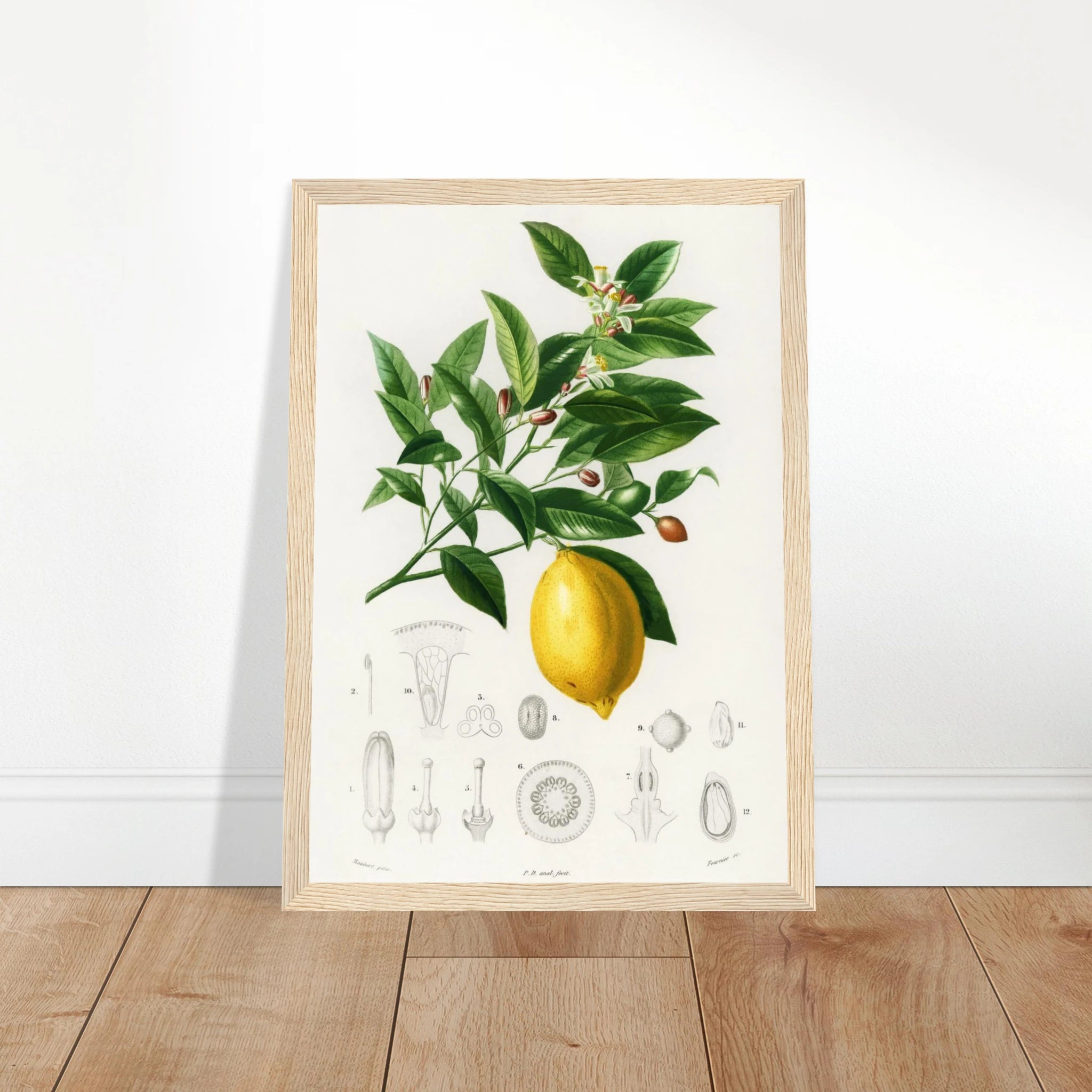 58b5497f-28fd-4439-b0a3-addc0ce3feee