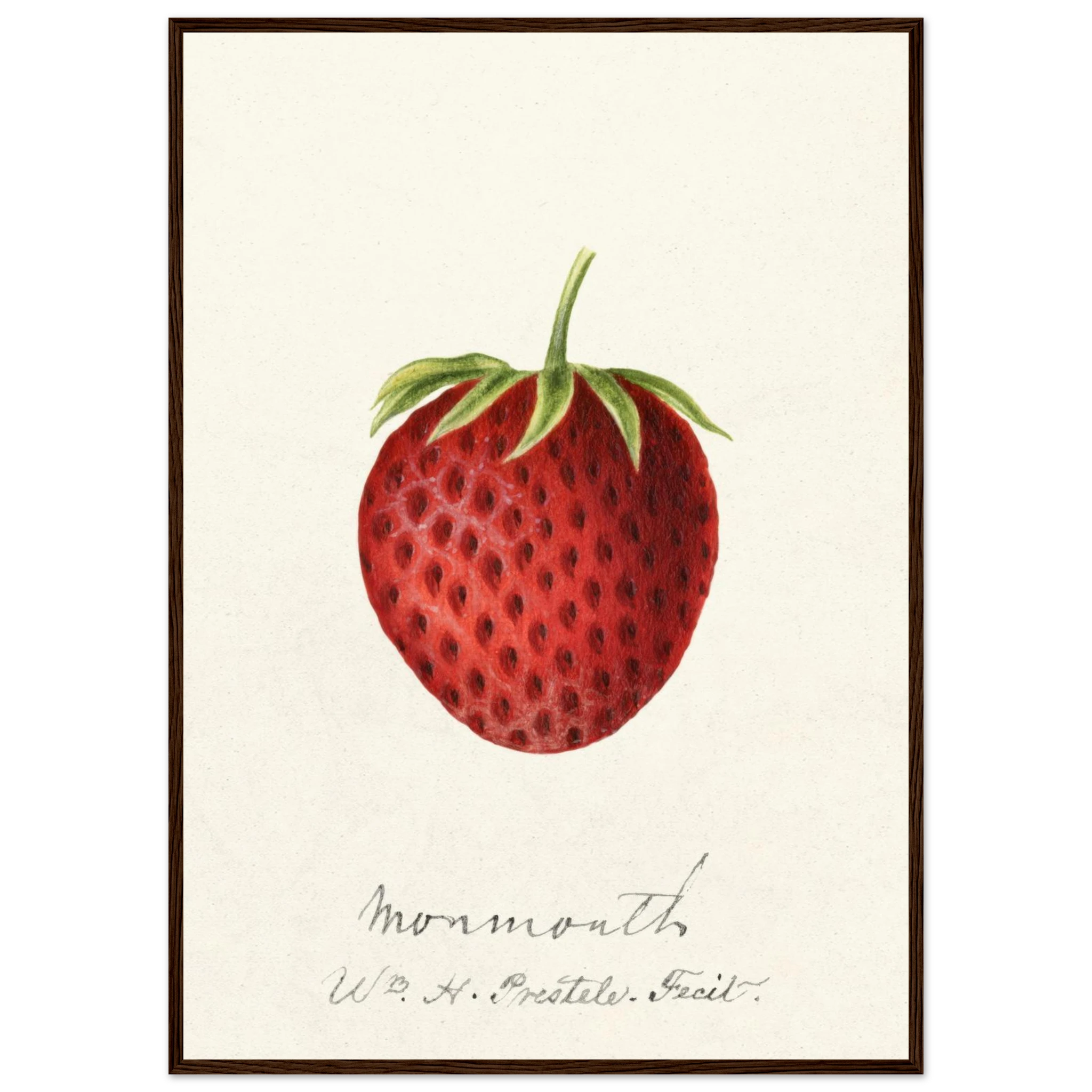 590736ff-00e4-4835-8efc-353aa26e11aa