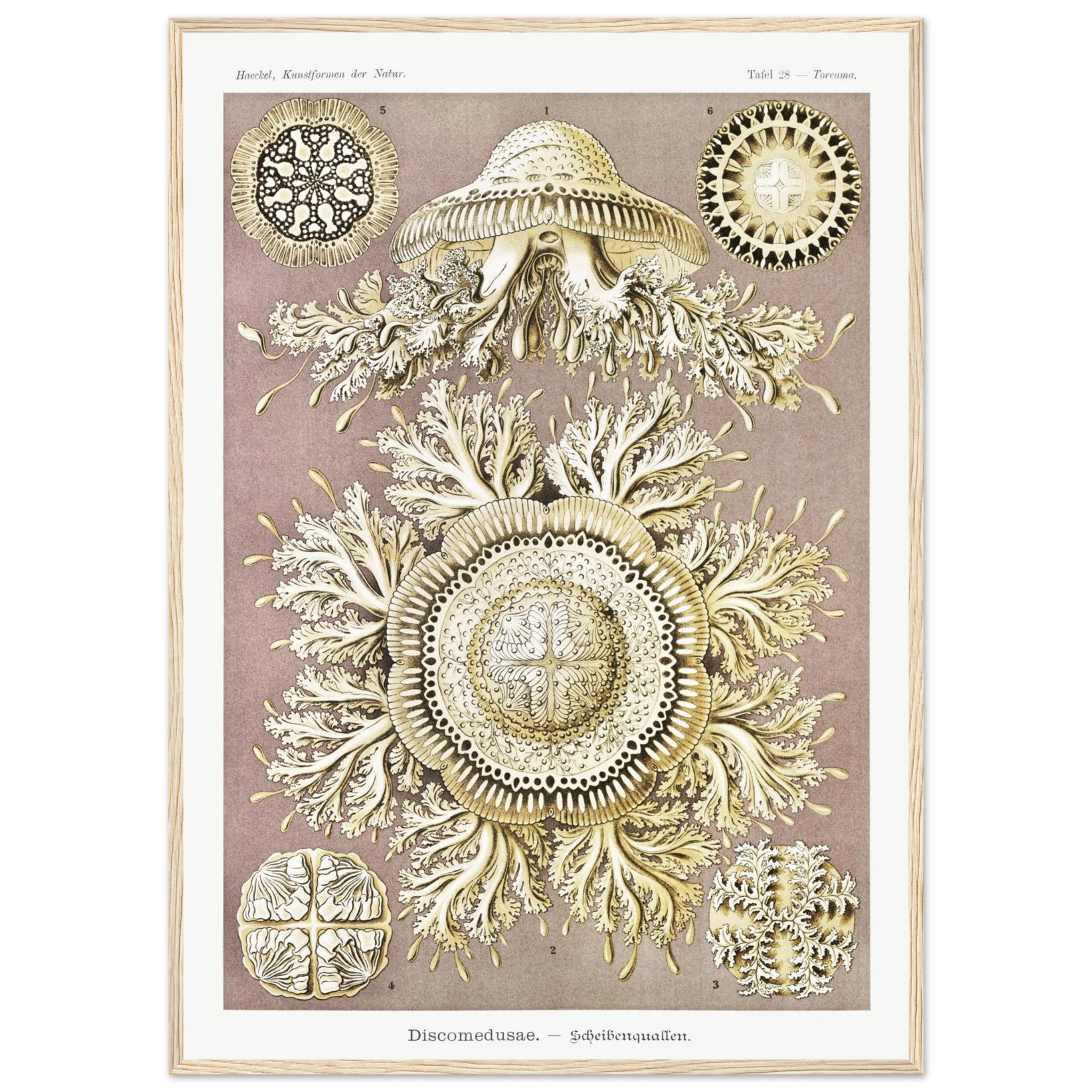 591f153b-cf3a-435e-9090-53bd2def7aea