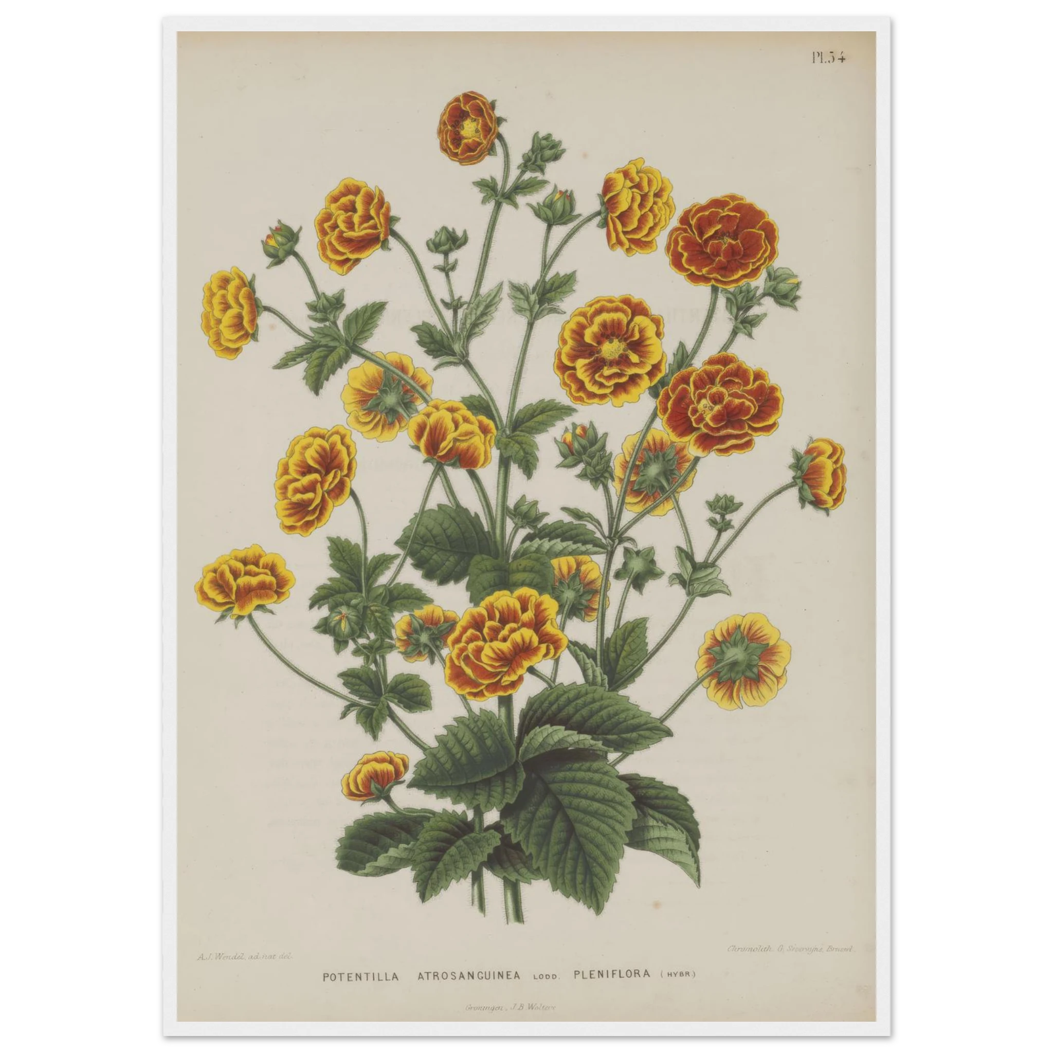 59217458-2ea5-4a73-9c05-1c55f84ca720