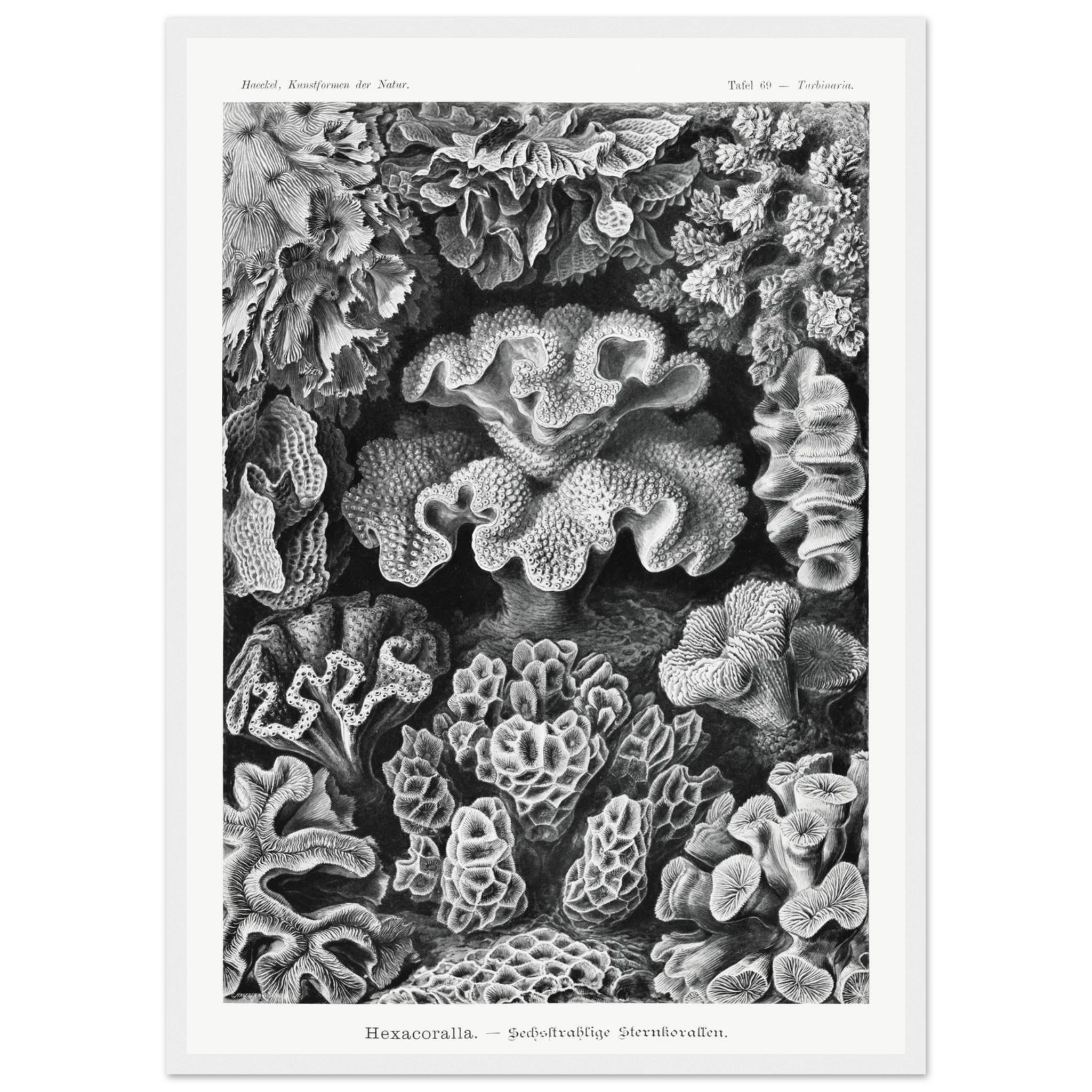 59357f6d-83c0-4ebf-928f-910dbf3aa67a