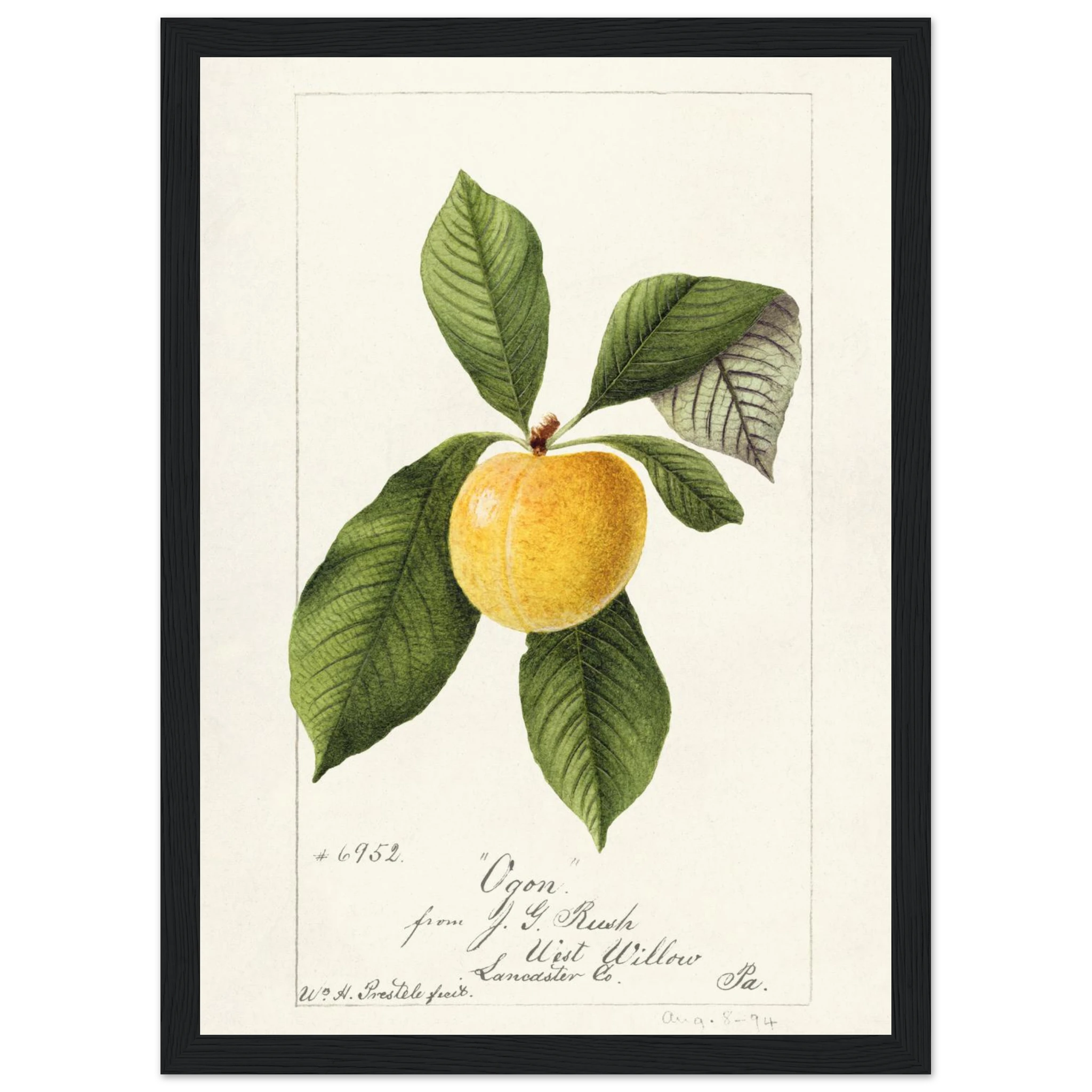 5954e512-90f3-4614-b5a8-4398f1c6c8a8