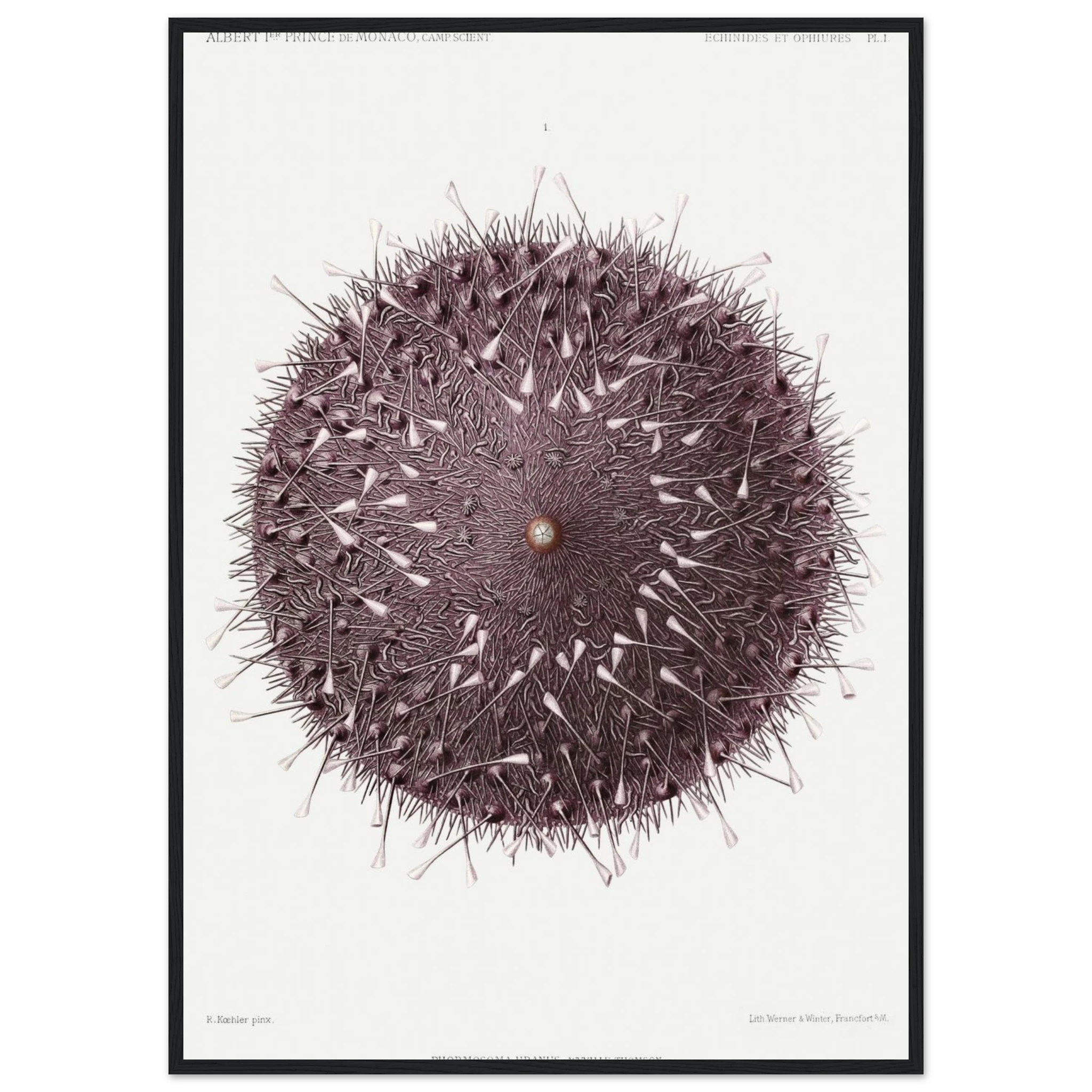 5985b4fe-90e1-46de-9254-7da186d35e75