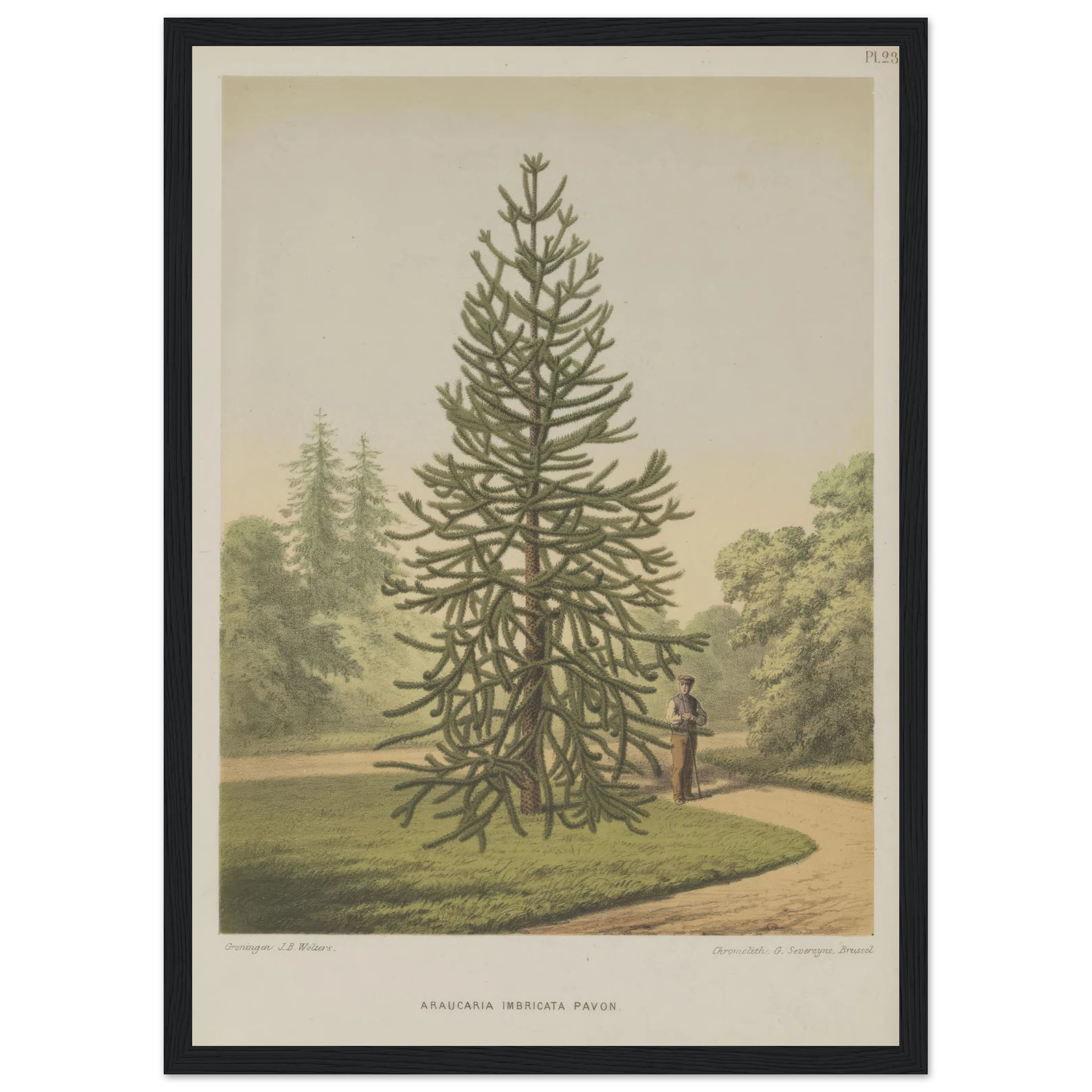 59d9030b-90d7-484a-bac4-d796ac0a59fd