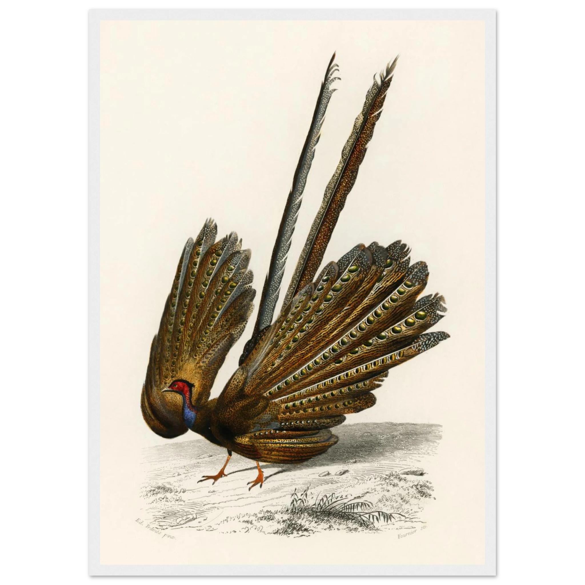 59ee61d9-11c9-47e0-9599-05a443a27399