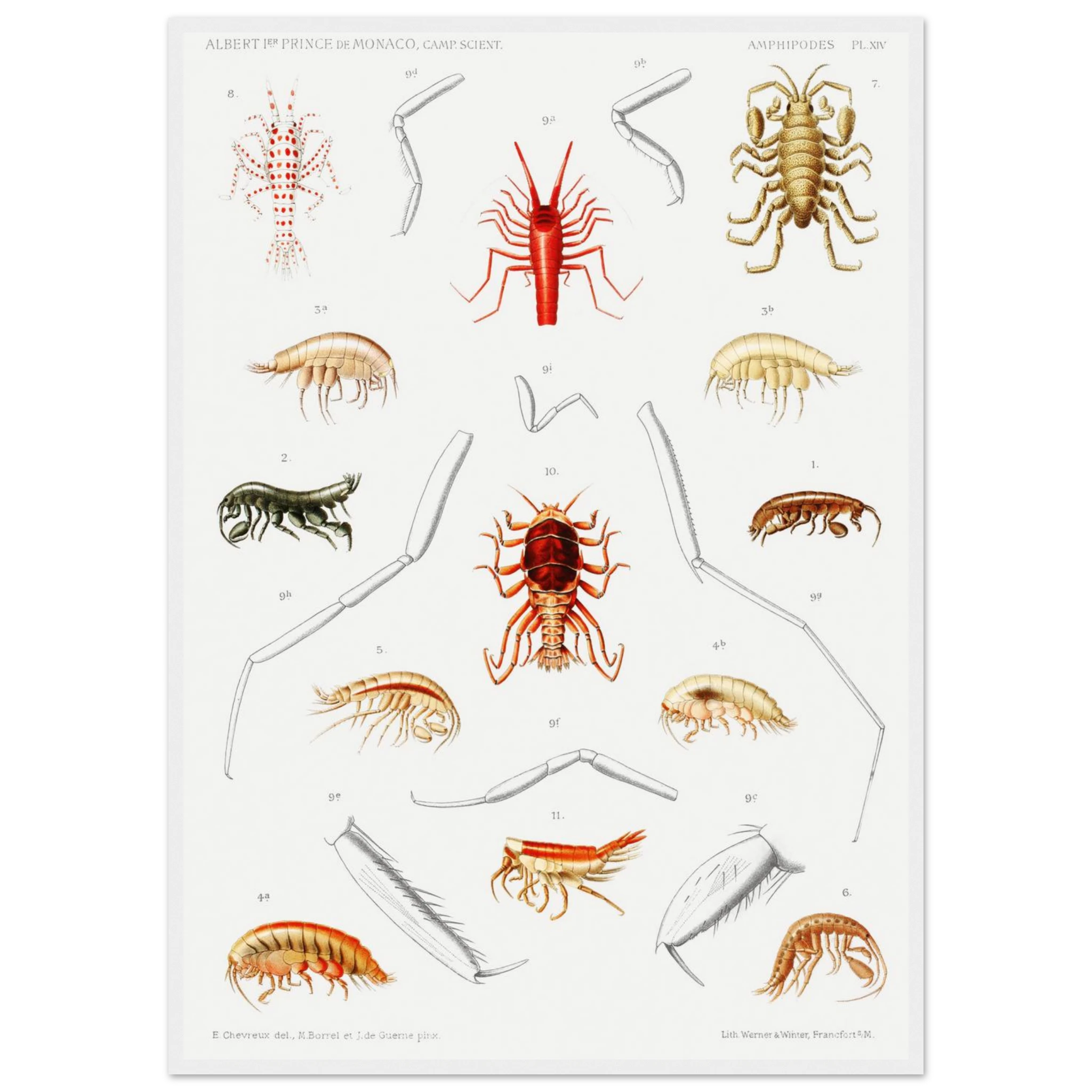 59f1b95e-e5bd-432c-95e2-05c48e8f7e45