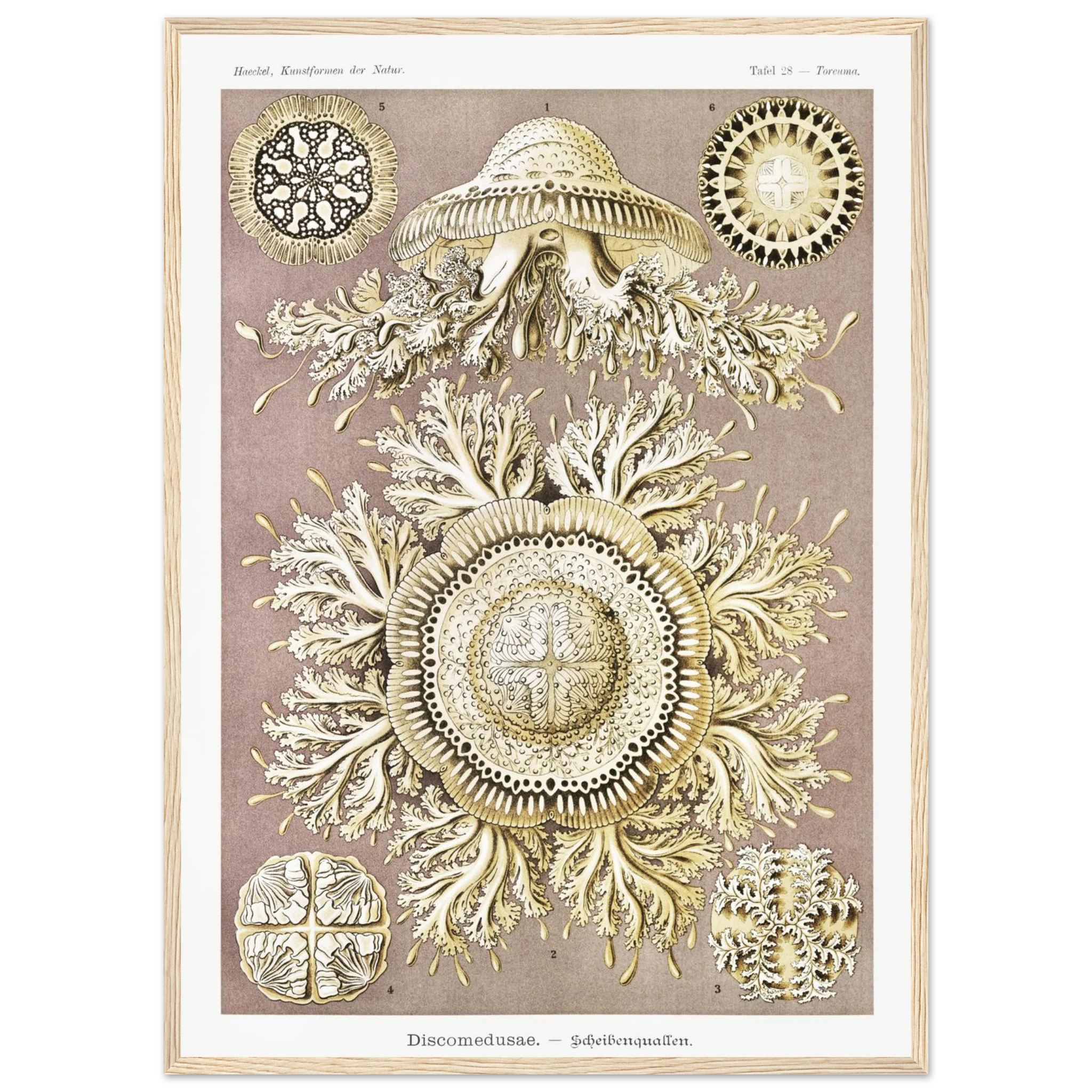 59f1e459-0f10-40bb-afa7-b9e1c4dcb681