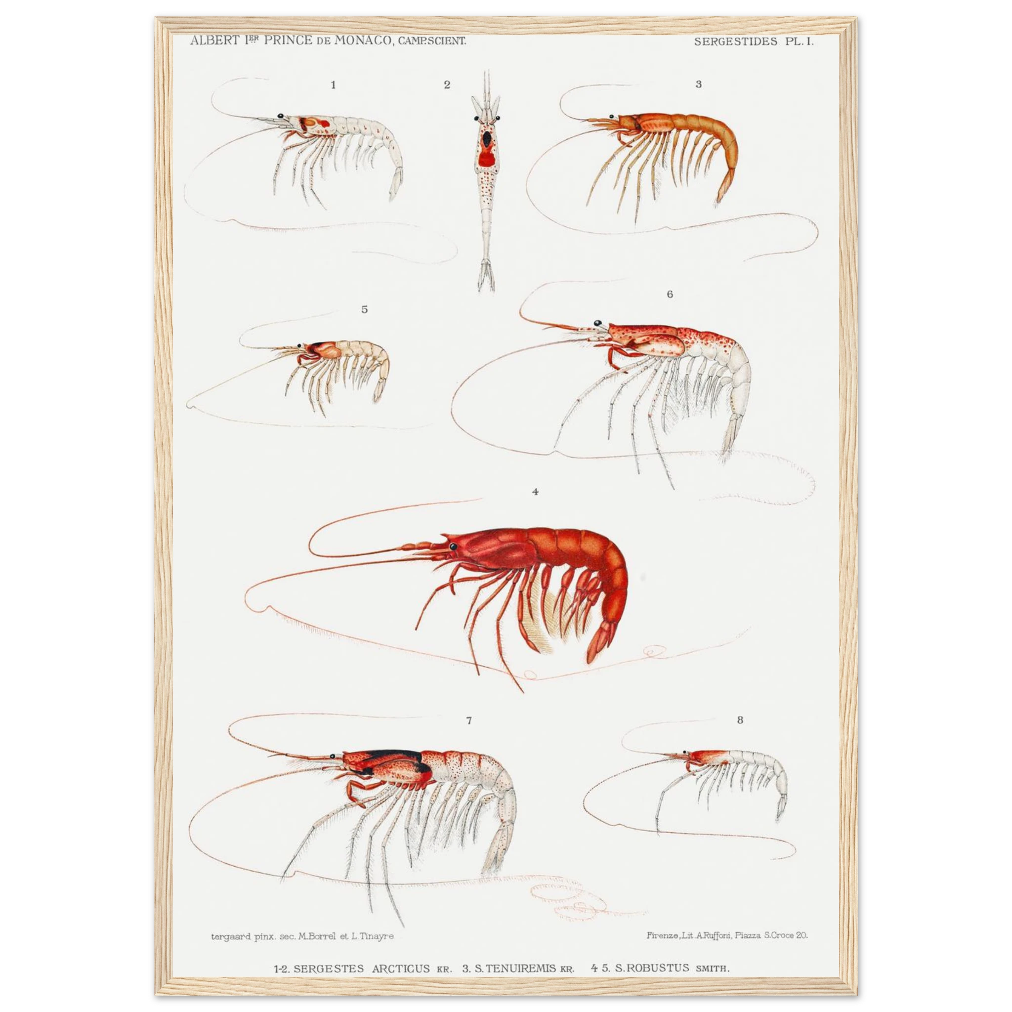 5a0e5e32-272e-44a3-b701-3bf73dea4dbe