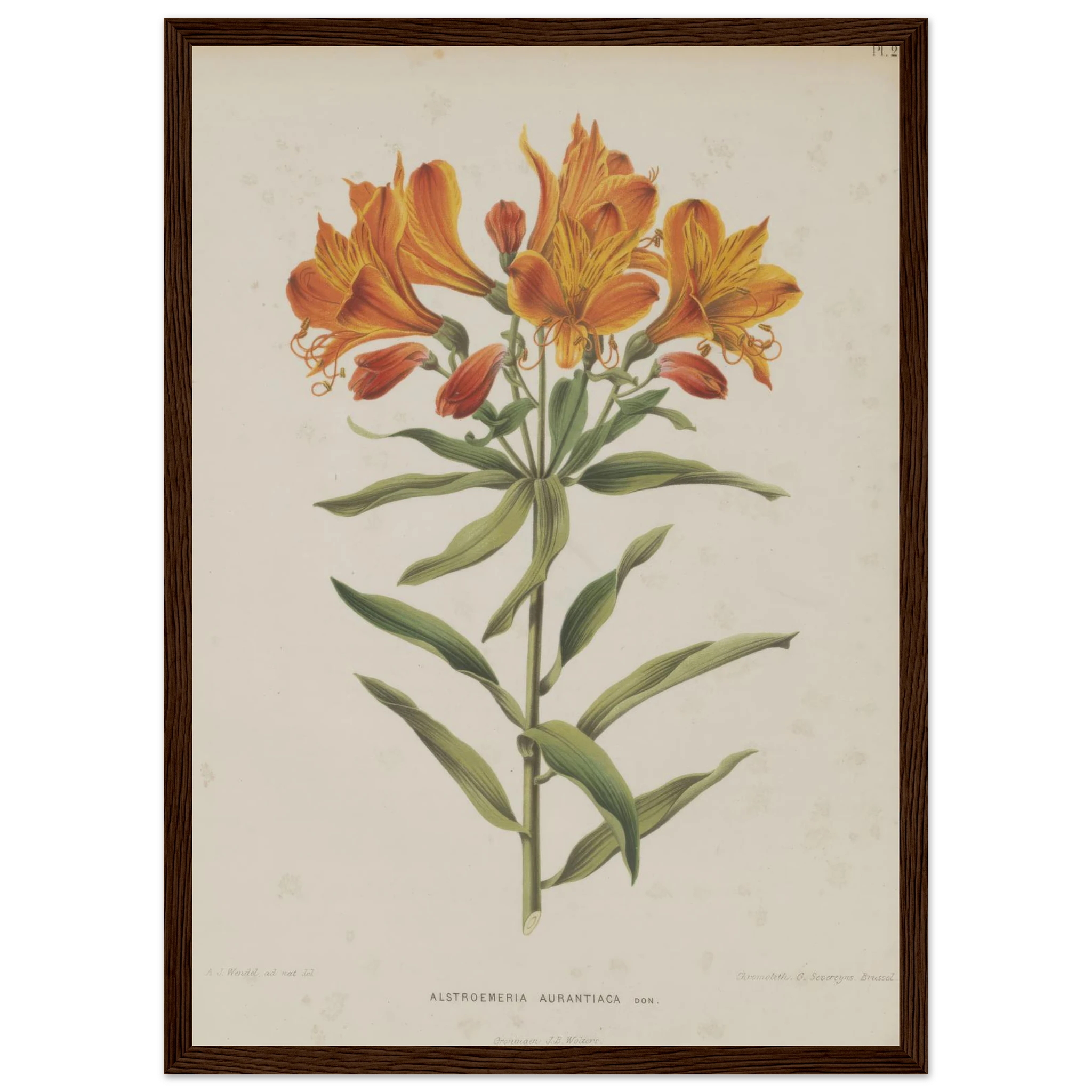 5a15f8ca-f835-4778-bd4d-ad3e57172280