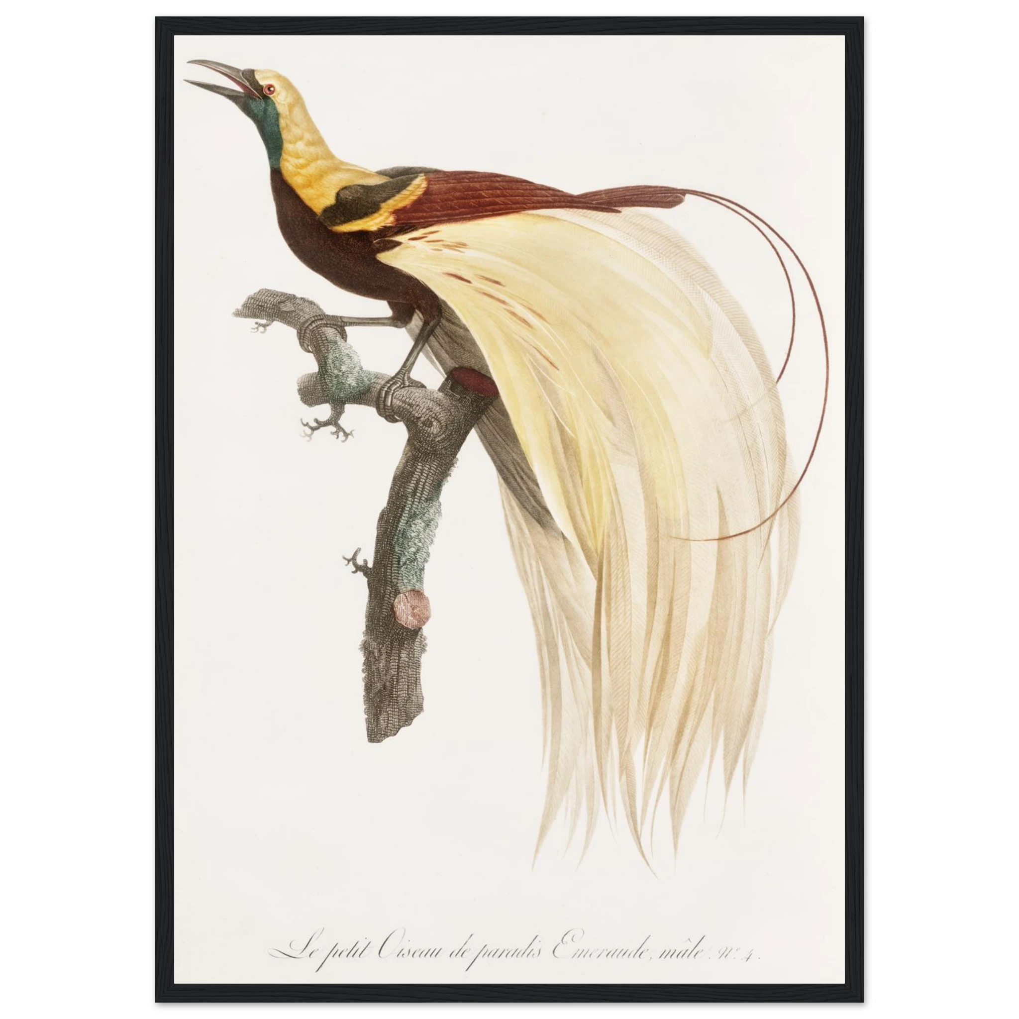 5a373a54-7a13-4698-b27f-b56737884268