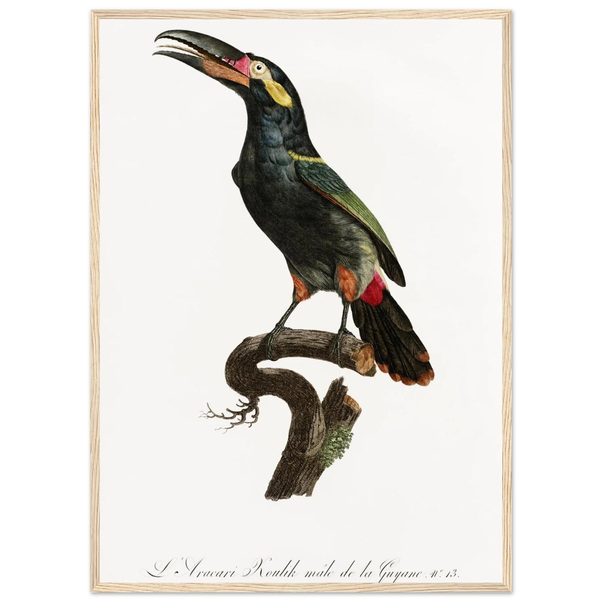 5a5b3002-4d50-41f6-9130-5e9043d9ed3d