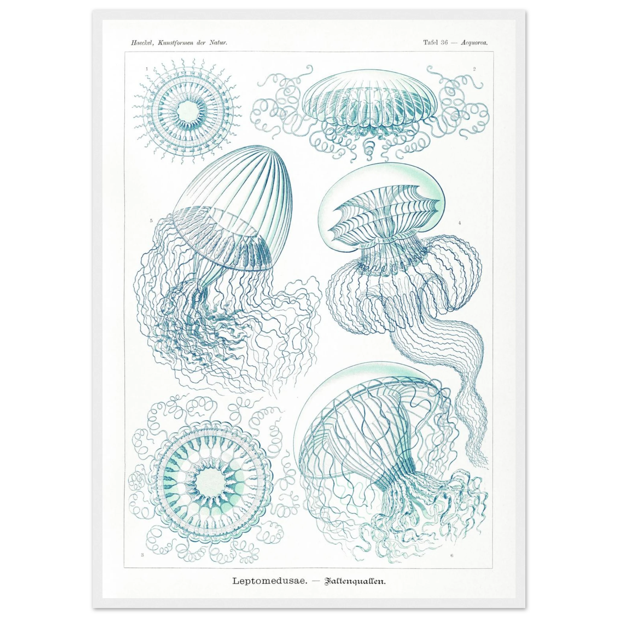 5a9edb9a-6315-4823-8be3-42e7e9be7c83