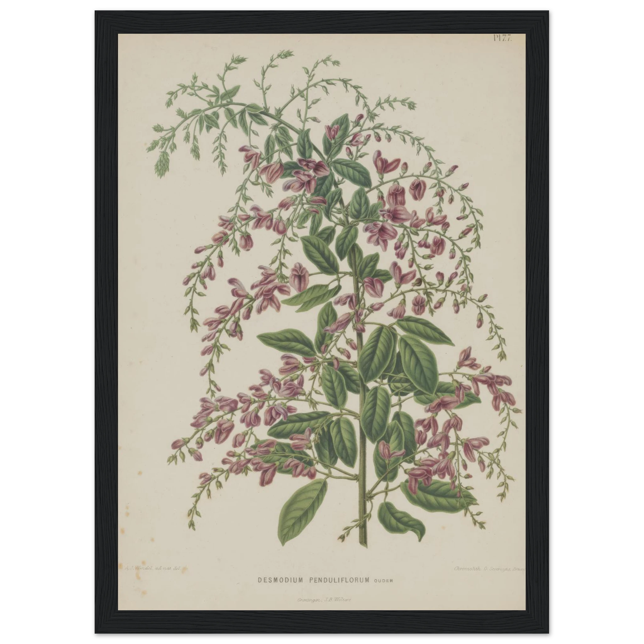 5ab5eb13-f005-465b-87ca-7895d4d83292