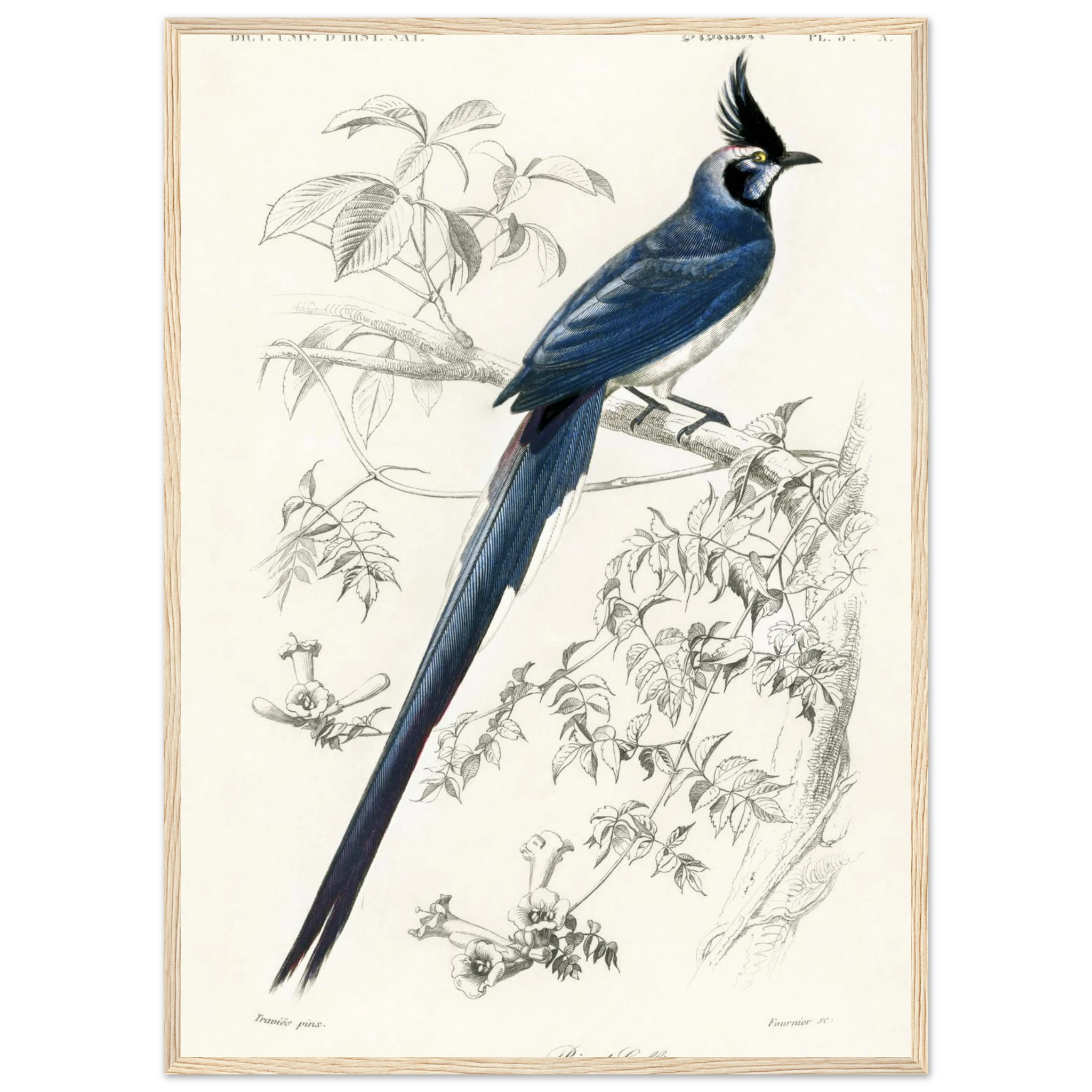 5abb9634-e040-459e-ba82-42d141cb97b6