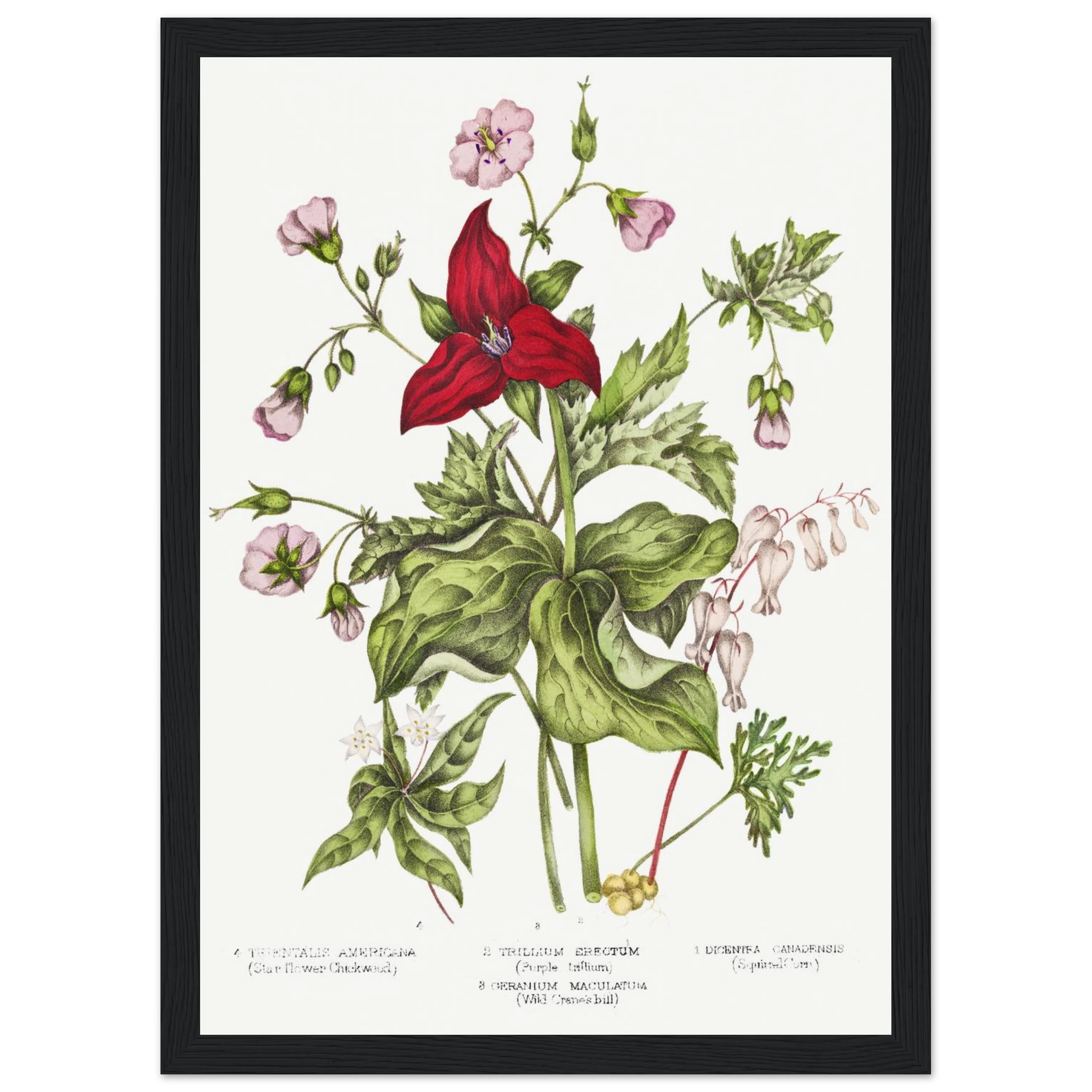 5ac3a1b2-ebe1-4602-8898-33f38381a9be