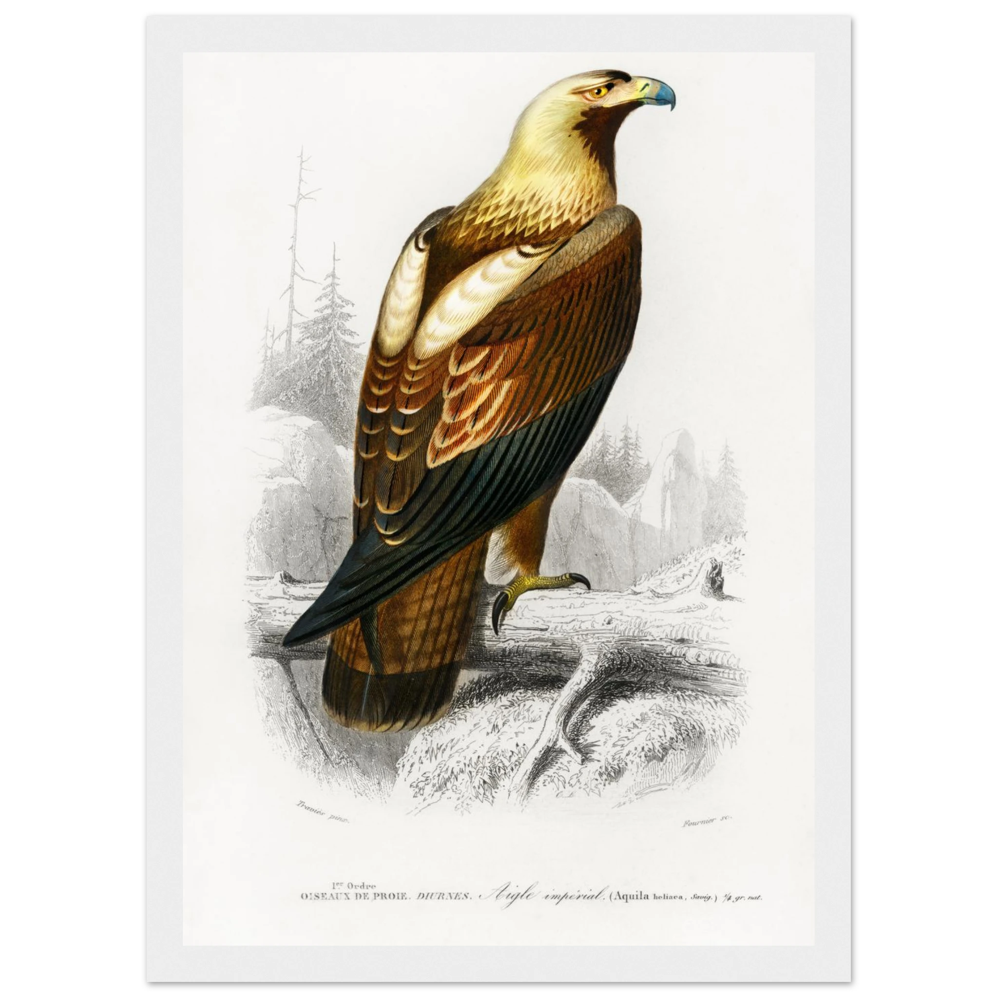 5b04c491-35ed-4c89-b499-96264b43f261