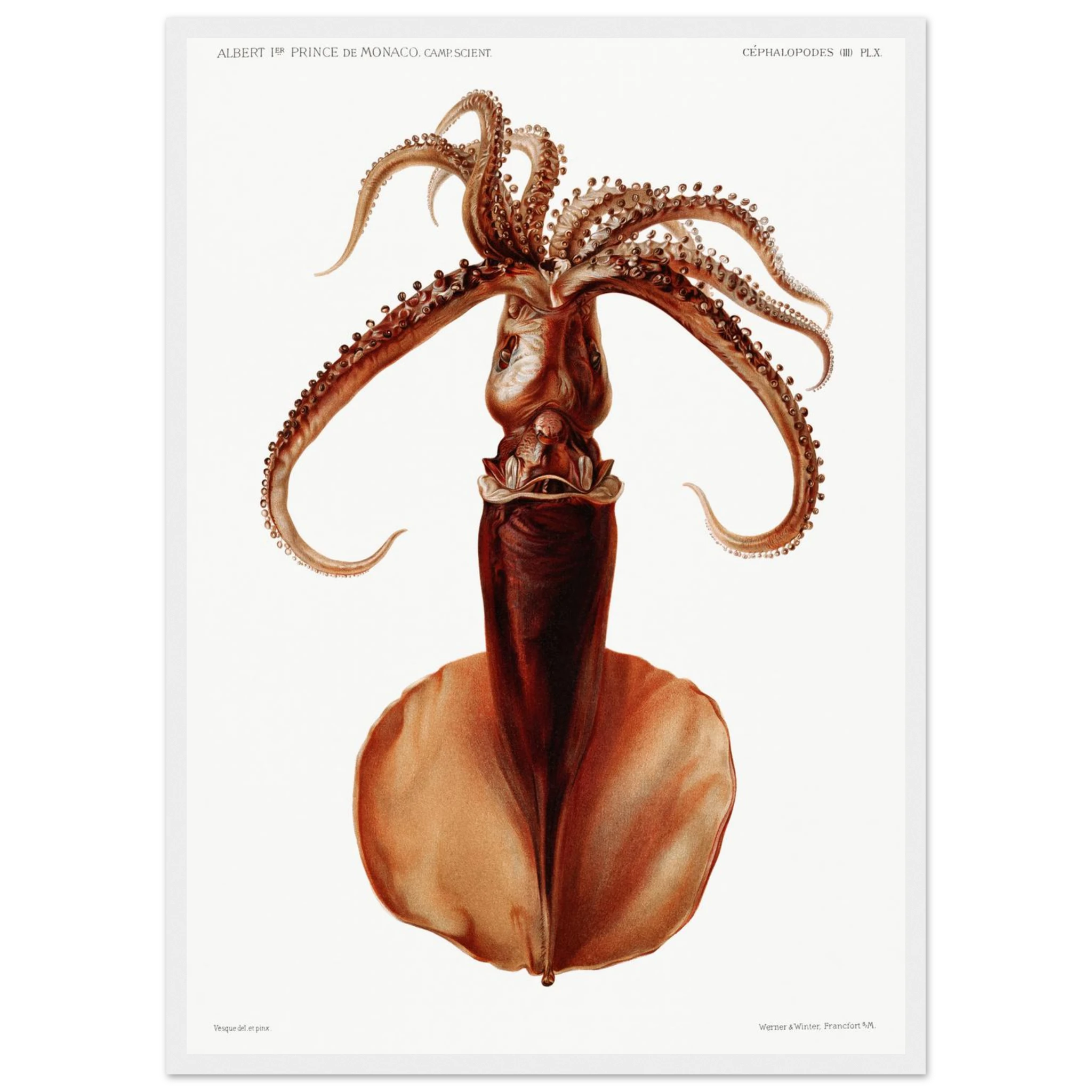 5b5c57cb-7bad-44f2-b968-10e3ccd15d45