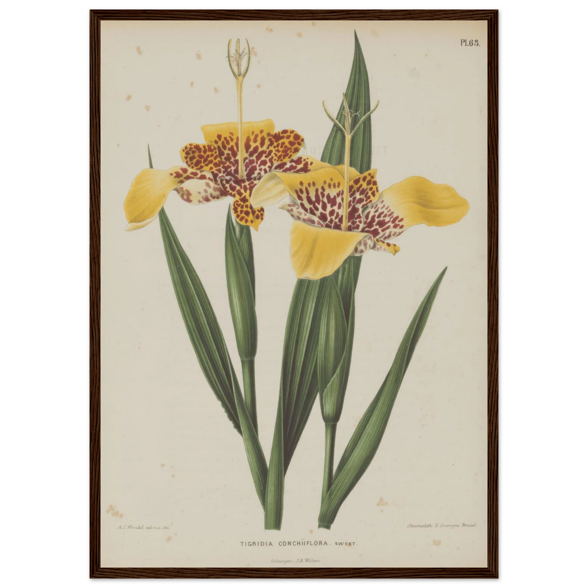 5b6867da-6ab4-4790-a52a-91559bed9a93