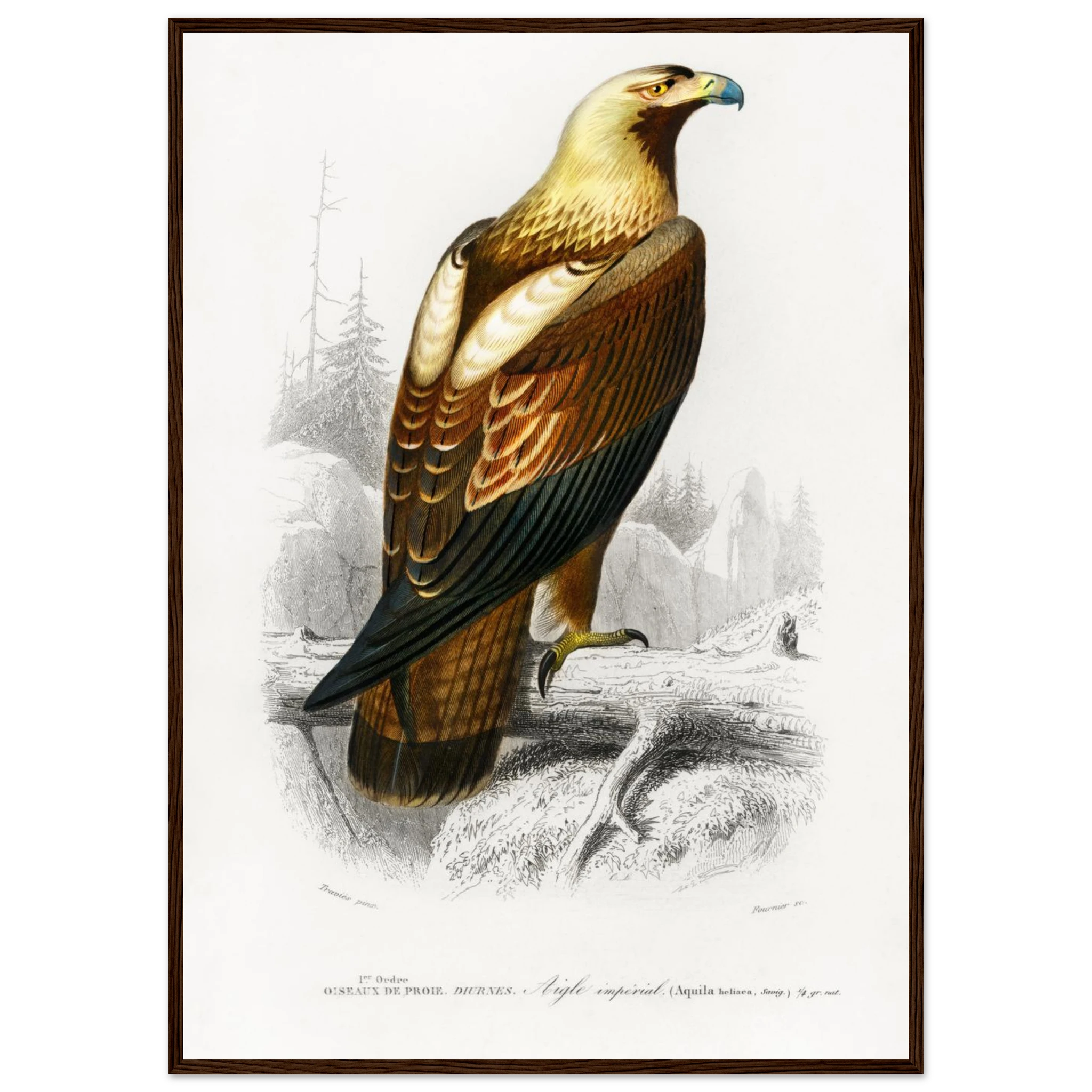 5bce131a-99b5-403c-8b3e-9212fd30c5e2