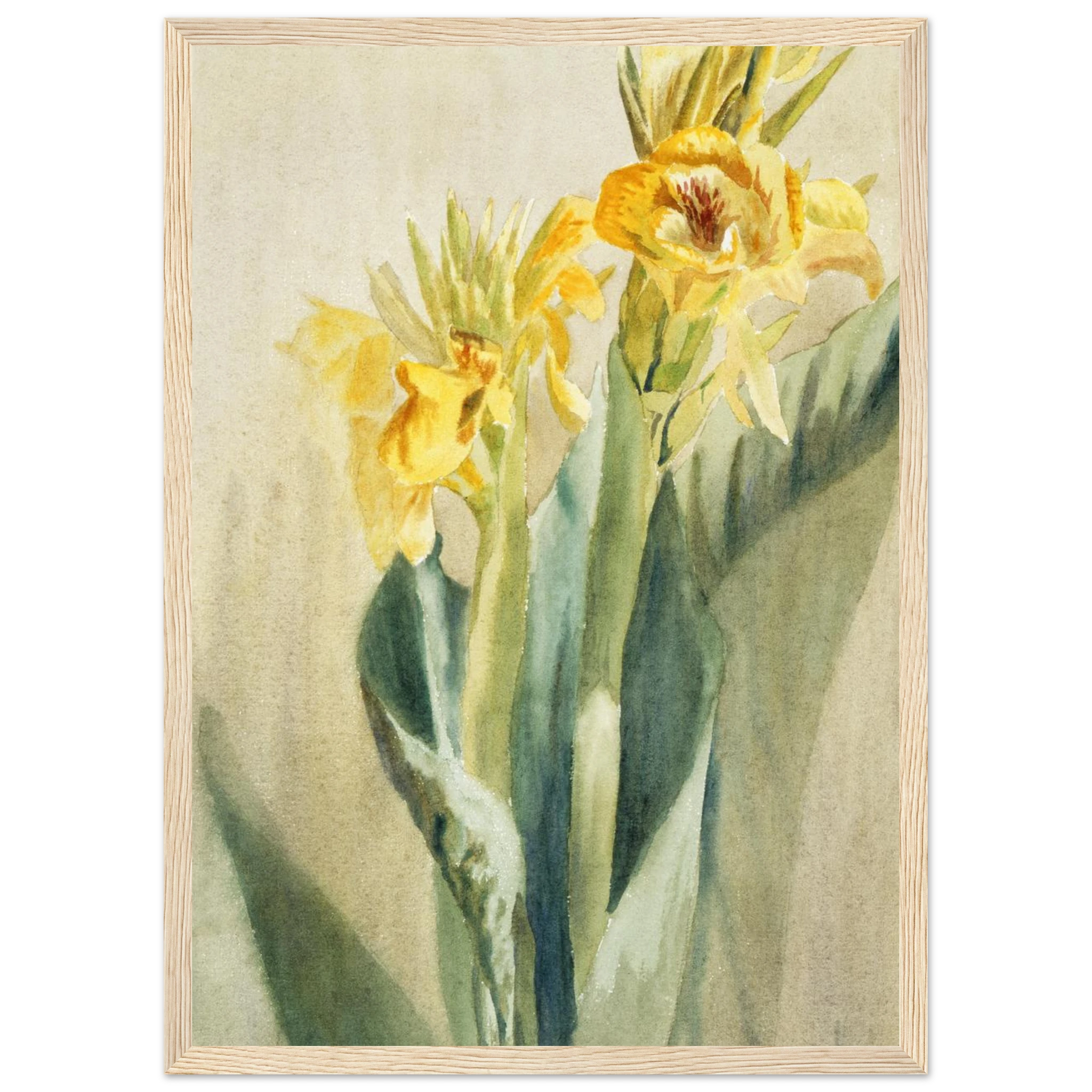 5bd086ee-059e-48ff-b3fb-57f6e893398f