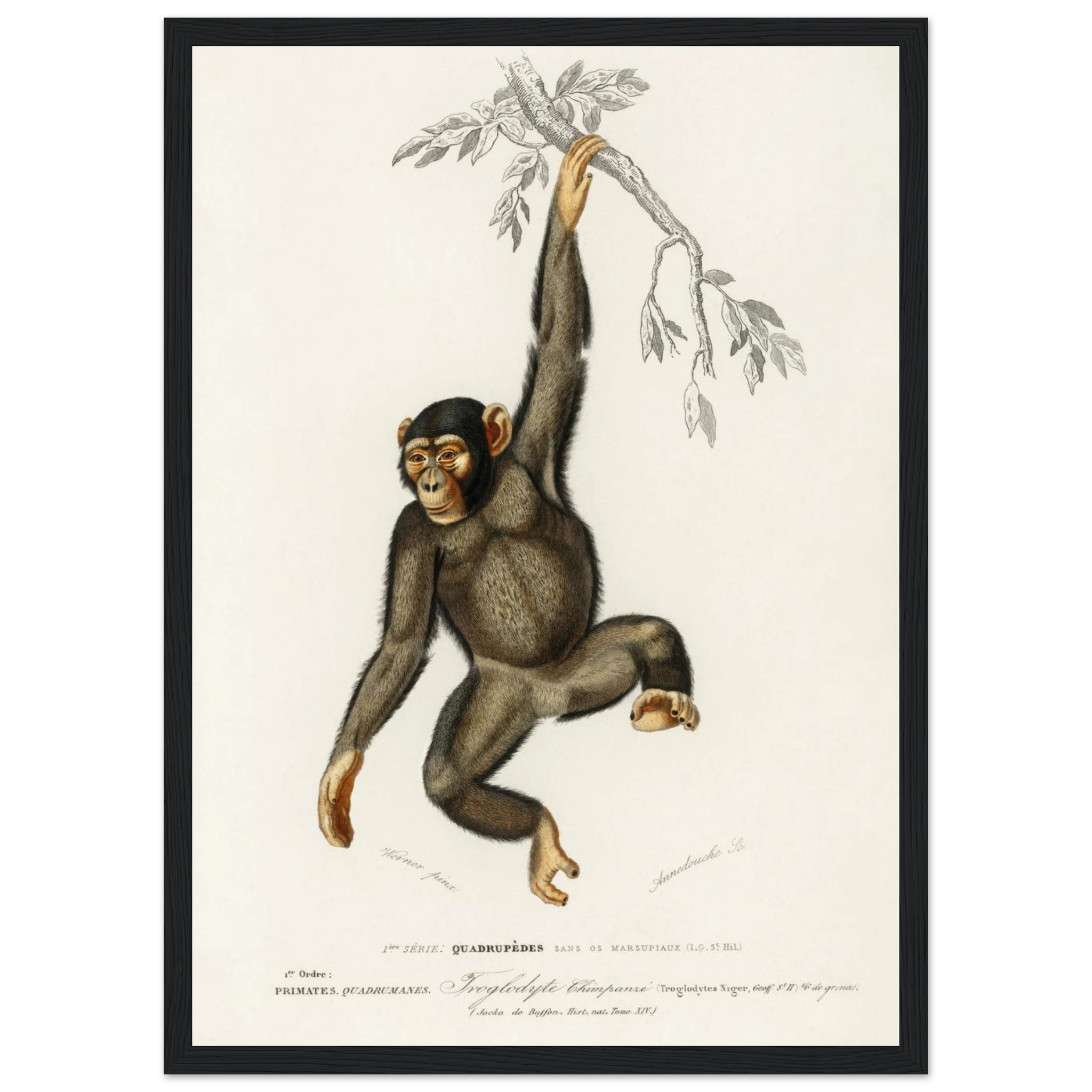 5bf390c4-ec07-4e53-83d8-25edfc1957c7