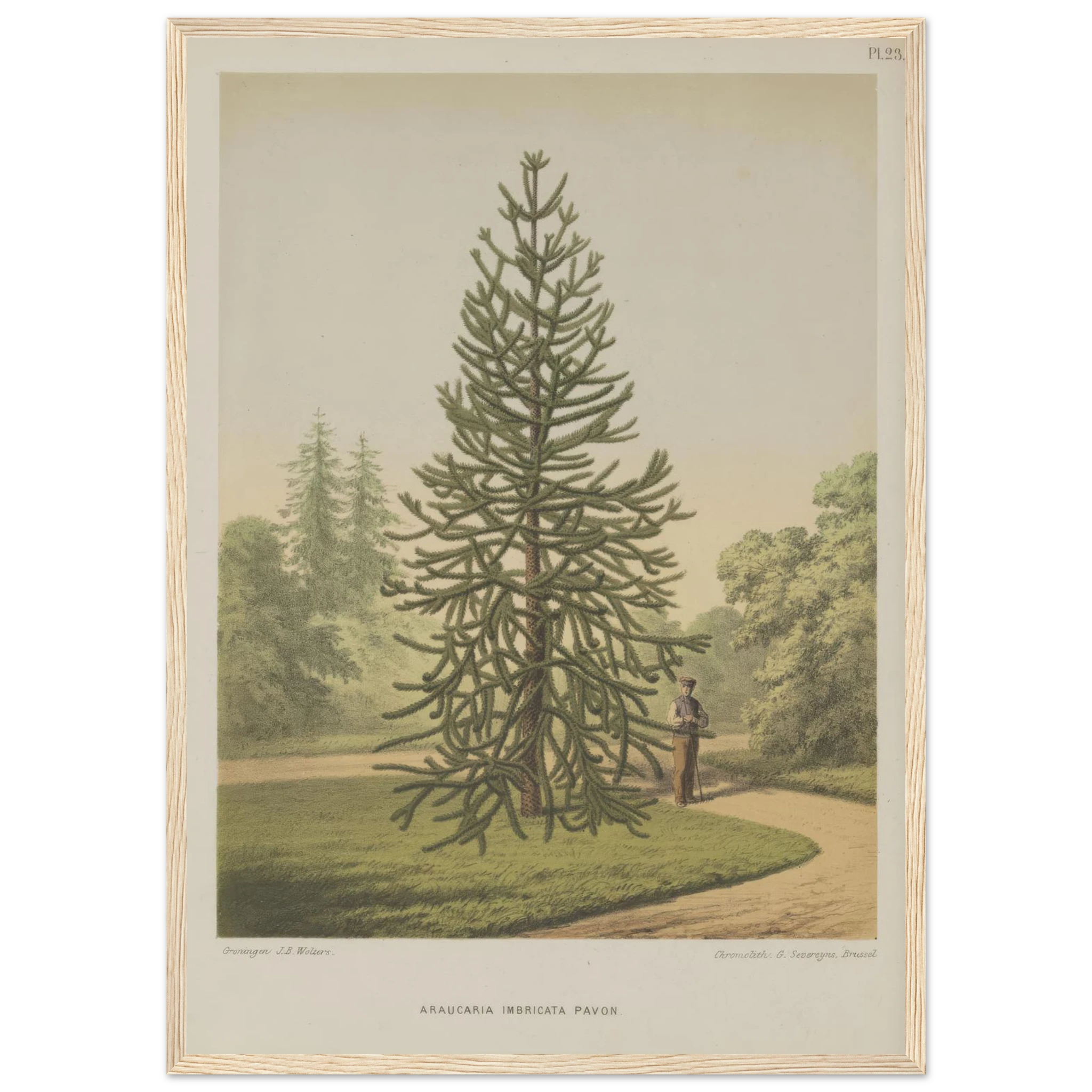 5c2d5ca9-558e-4bd6-b12b-e3c12cf0aed9