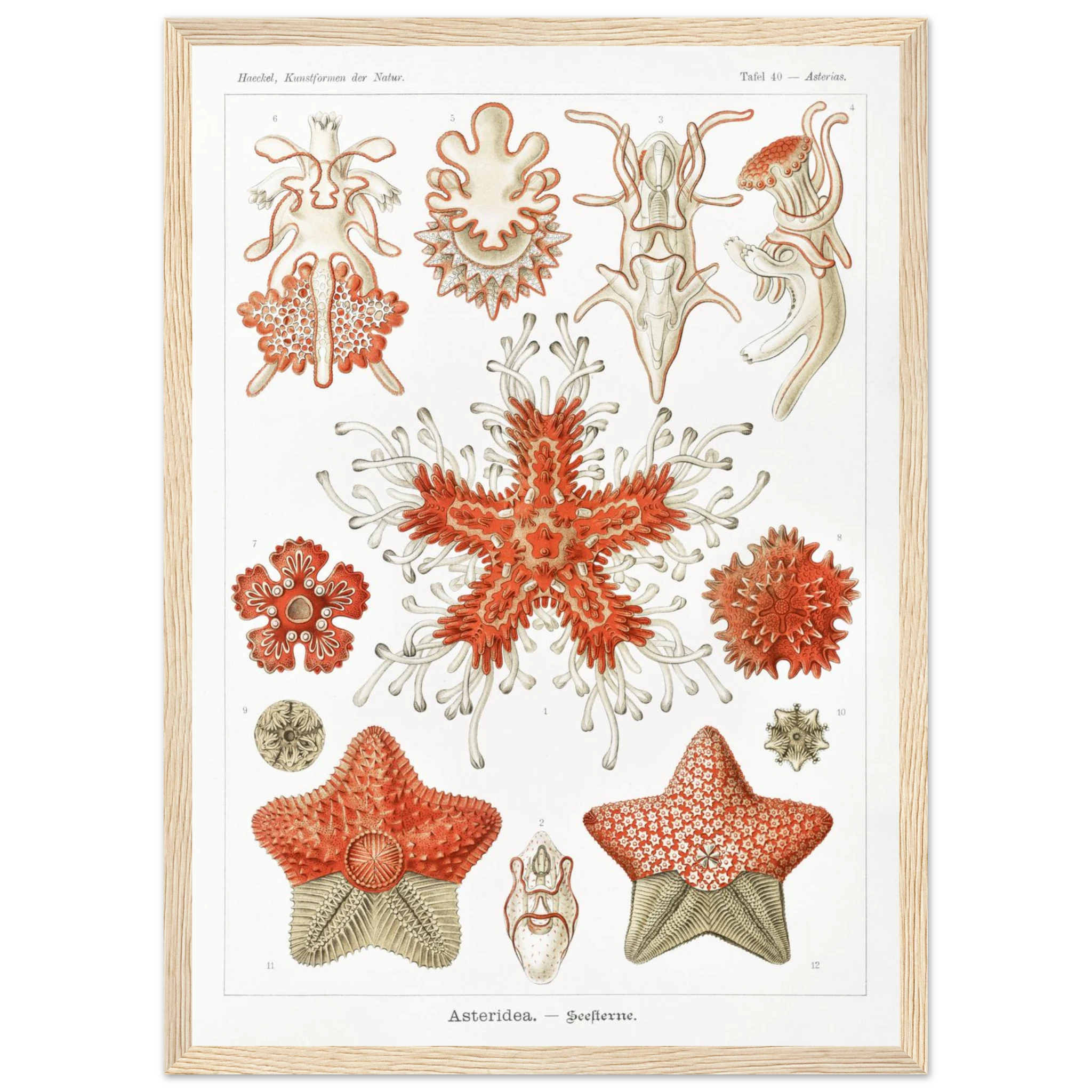 5c3831da-cda5-4ba9-a0be-8e861adc1689