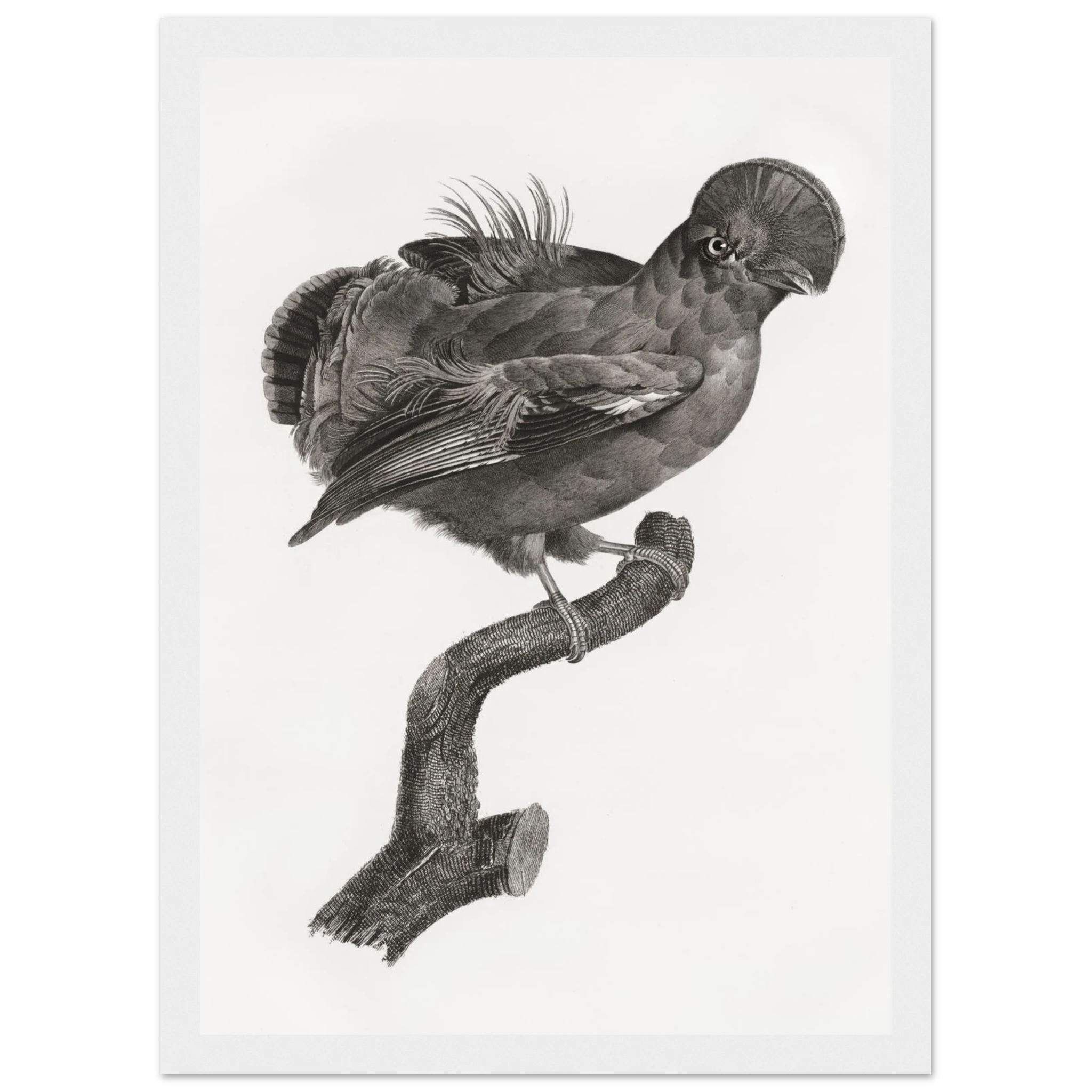 5c477250-59e0-474b-abb0-deb7a4c9a78e