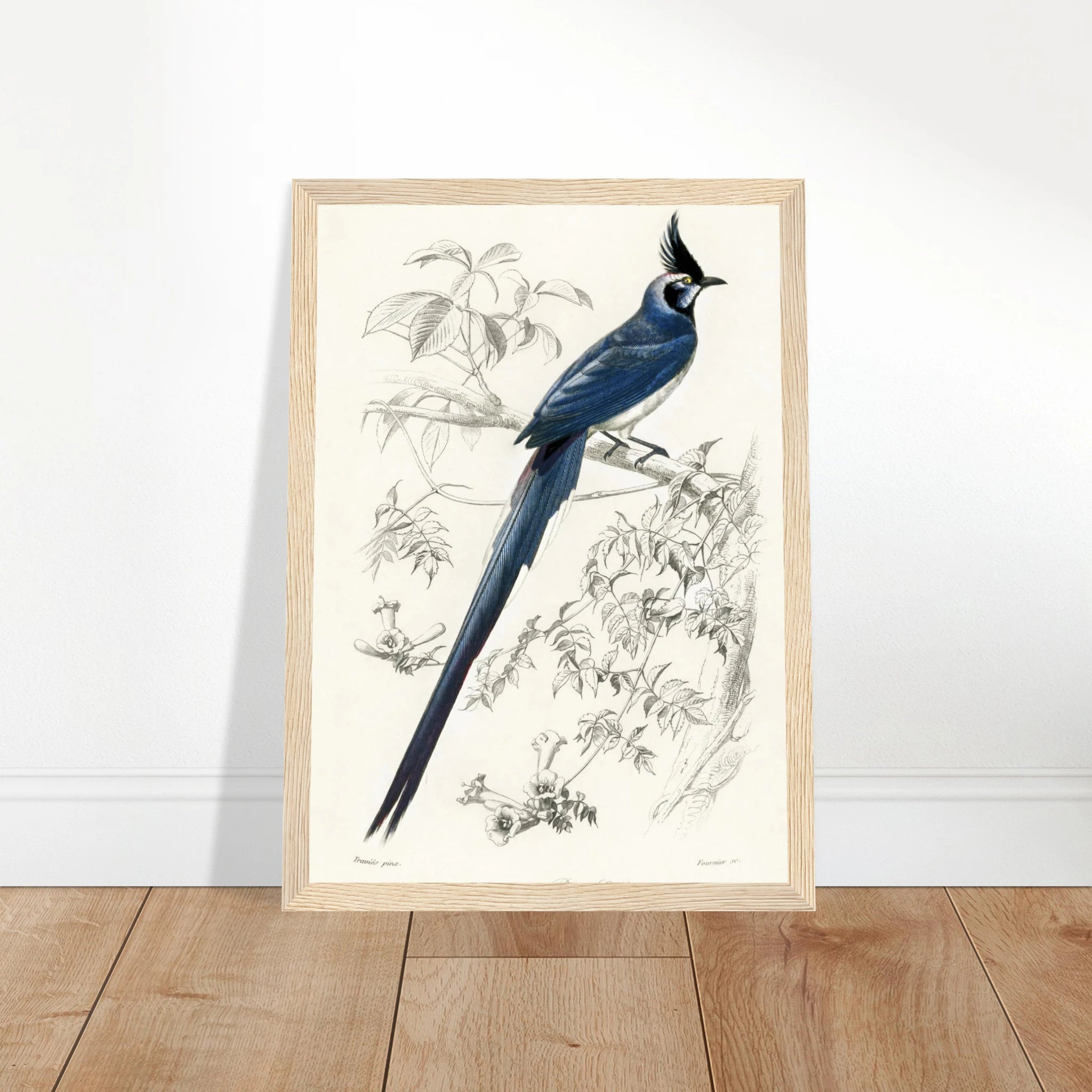 5c4ecc90-b368-4ad5-a474-41f390472729