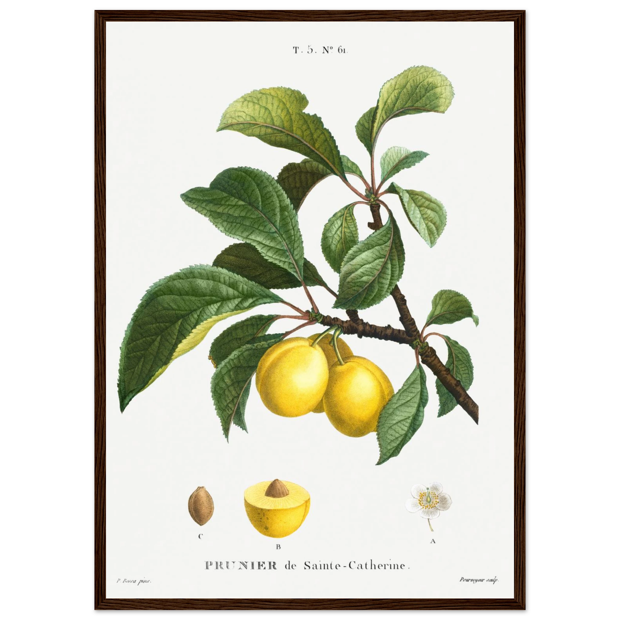 5c634c35-ef6b-4f3a-8a37-fa0ed6e30b18