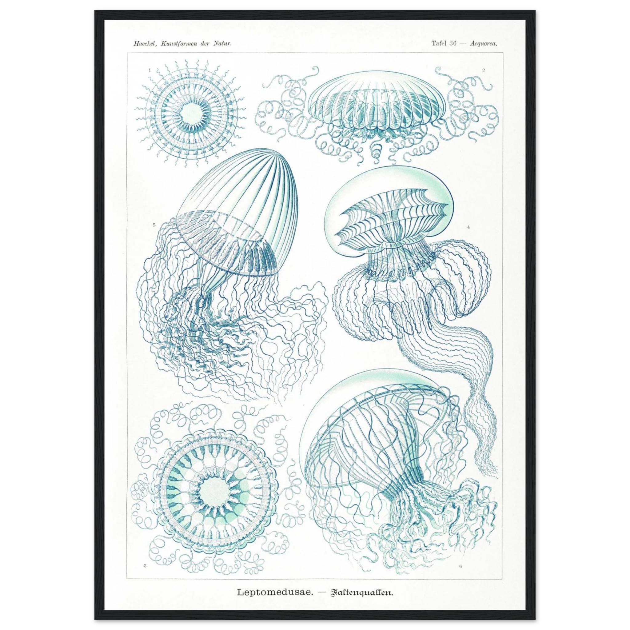 5c9f633e-56d8-4183-b2a6-4bfab8bf6f68