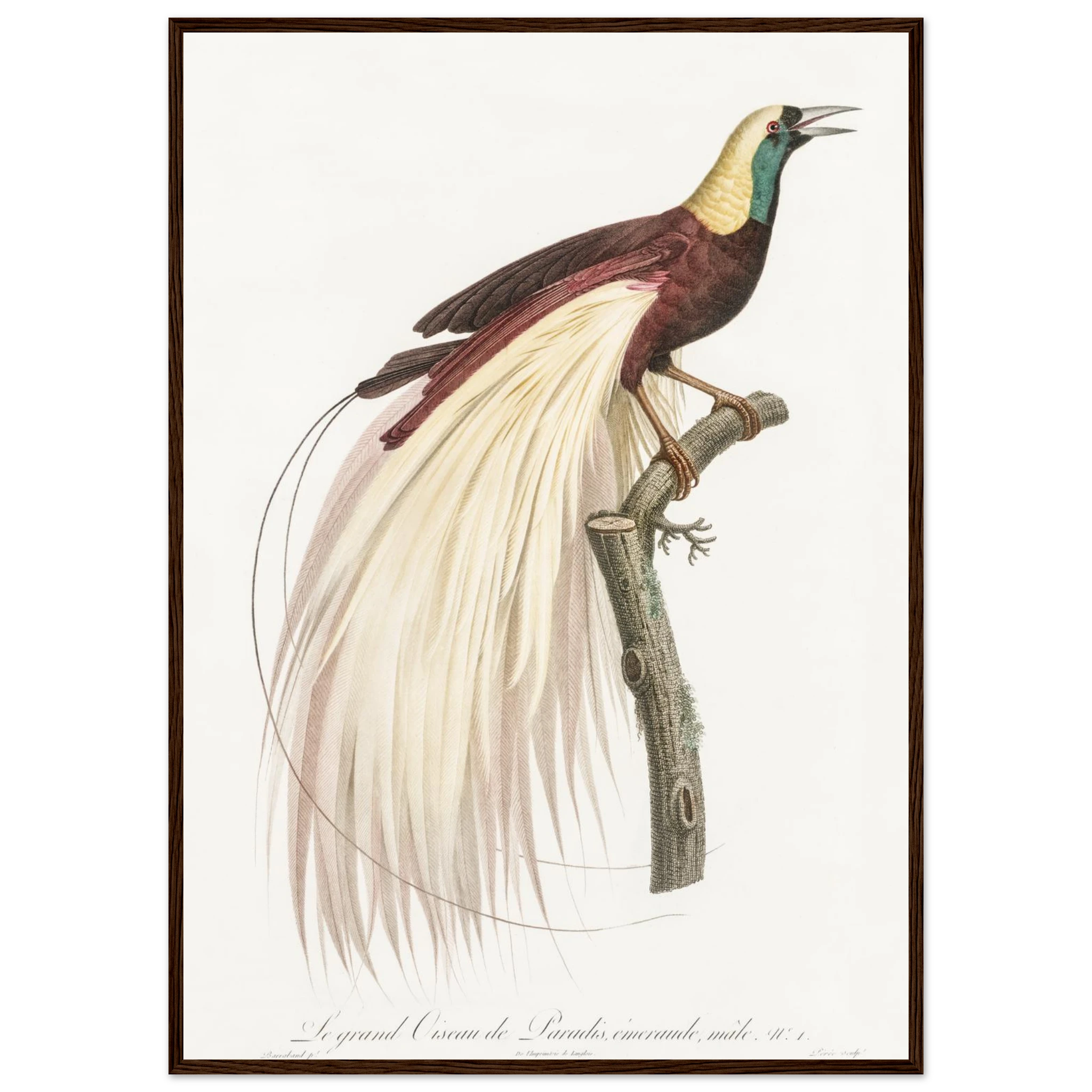 5cb2cfdb-af87-41fd-b7e3-fc388a74e26a