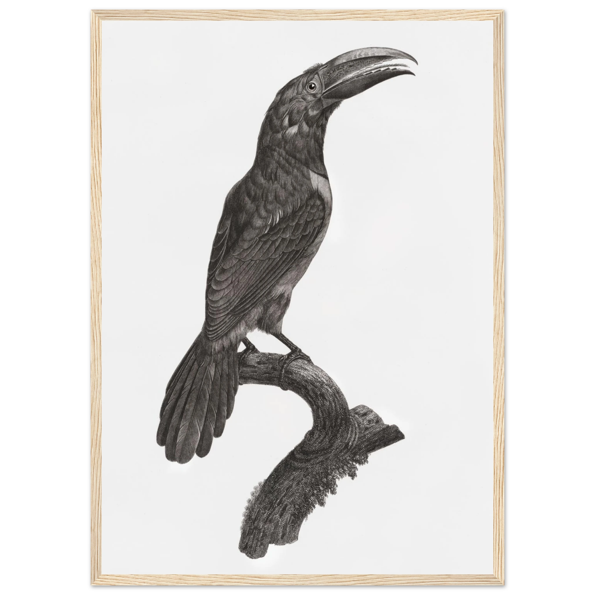 5cb528e4-73fe-4ad3-b7a5-905703eb4d28